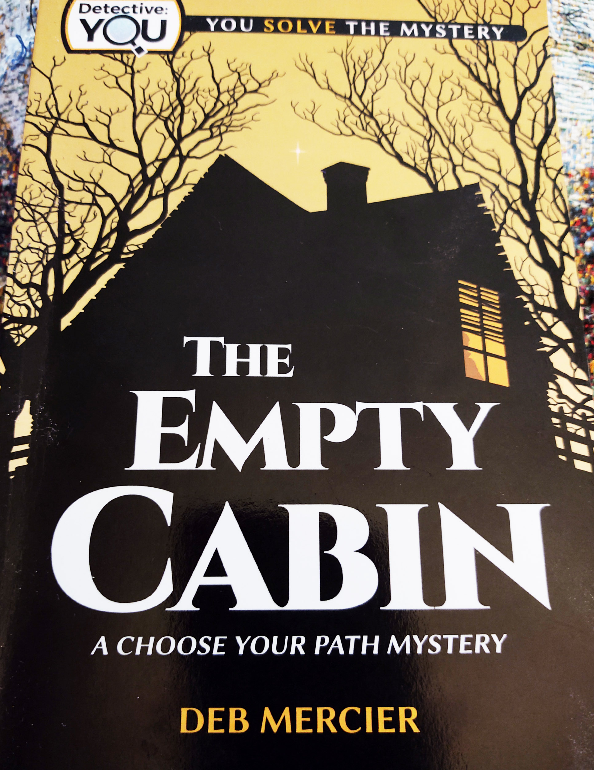 Alexandria author pens choose-your-own-path mystery for kids - Vimarsana News