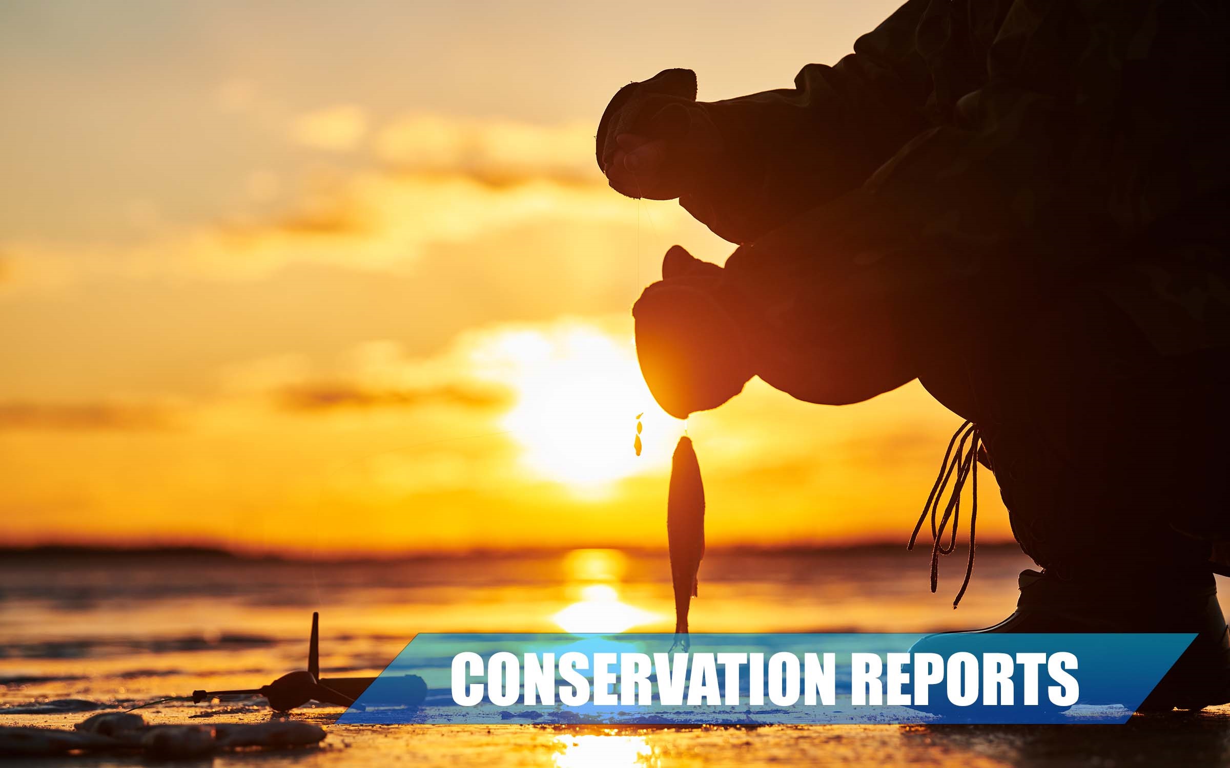 Conservation reports: Deer recovered under Roseau home's steps, shed hunters searched in SE Minnesota - Vimarsana News