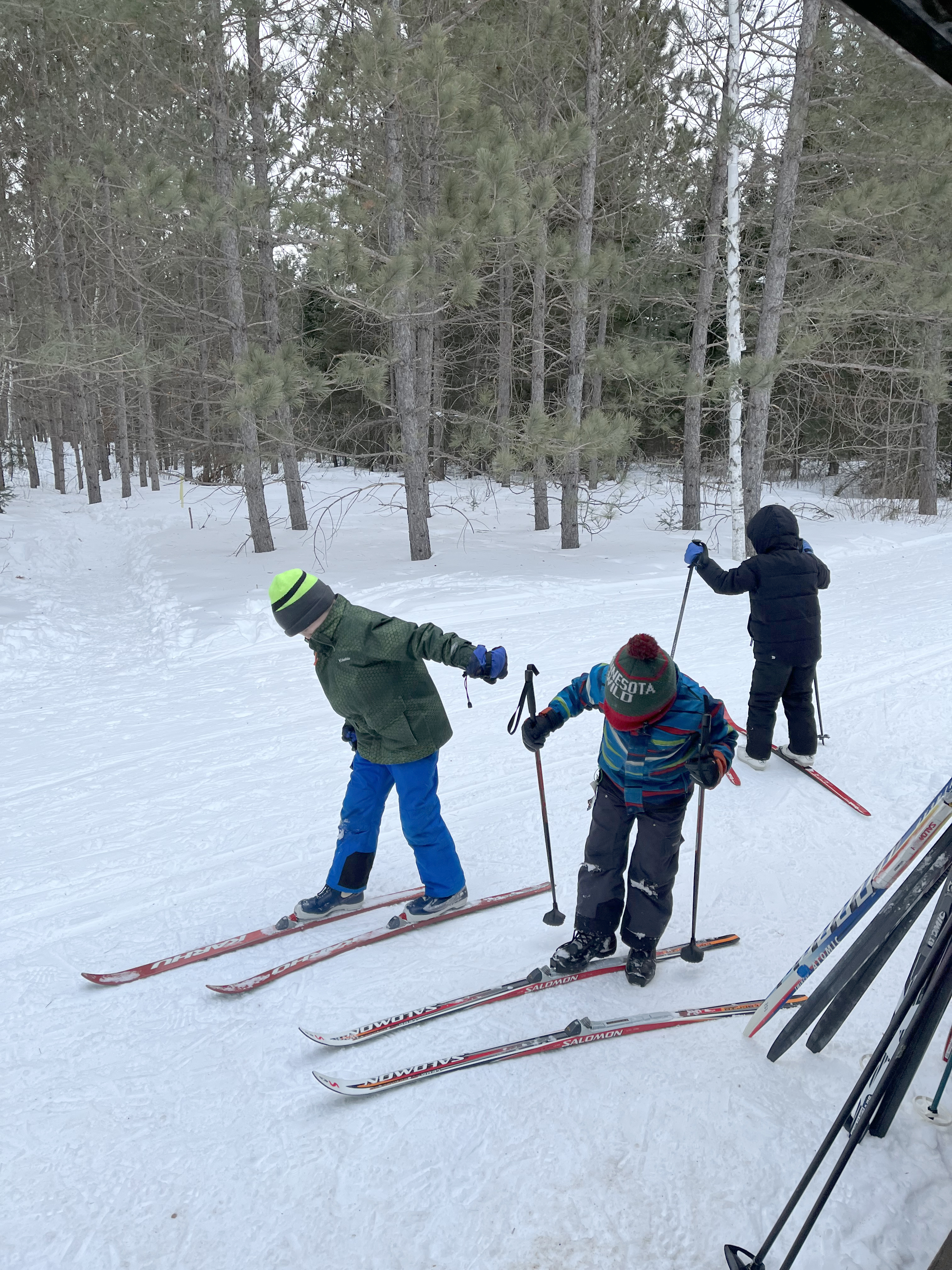 Nordic skiing thrives in Minnesota - Vimarsana News