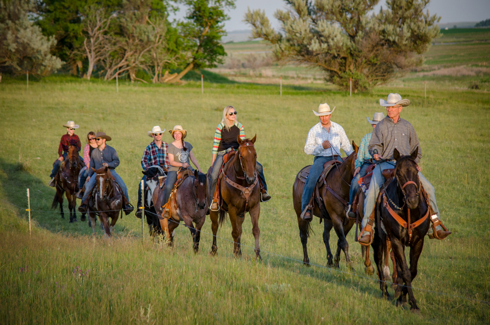 Farmers, ranchers could capture almost a third of North Daktoa's carbon emissions, study finds - InForum | Fargo, Moorhead and West Fargo news, weather and sports - Vimarsana News