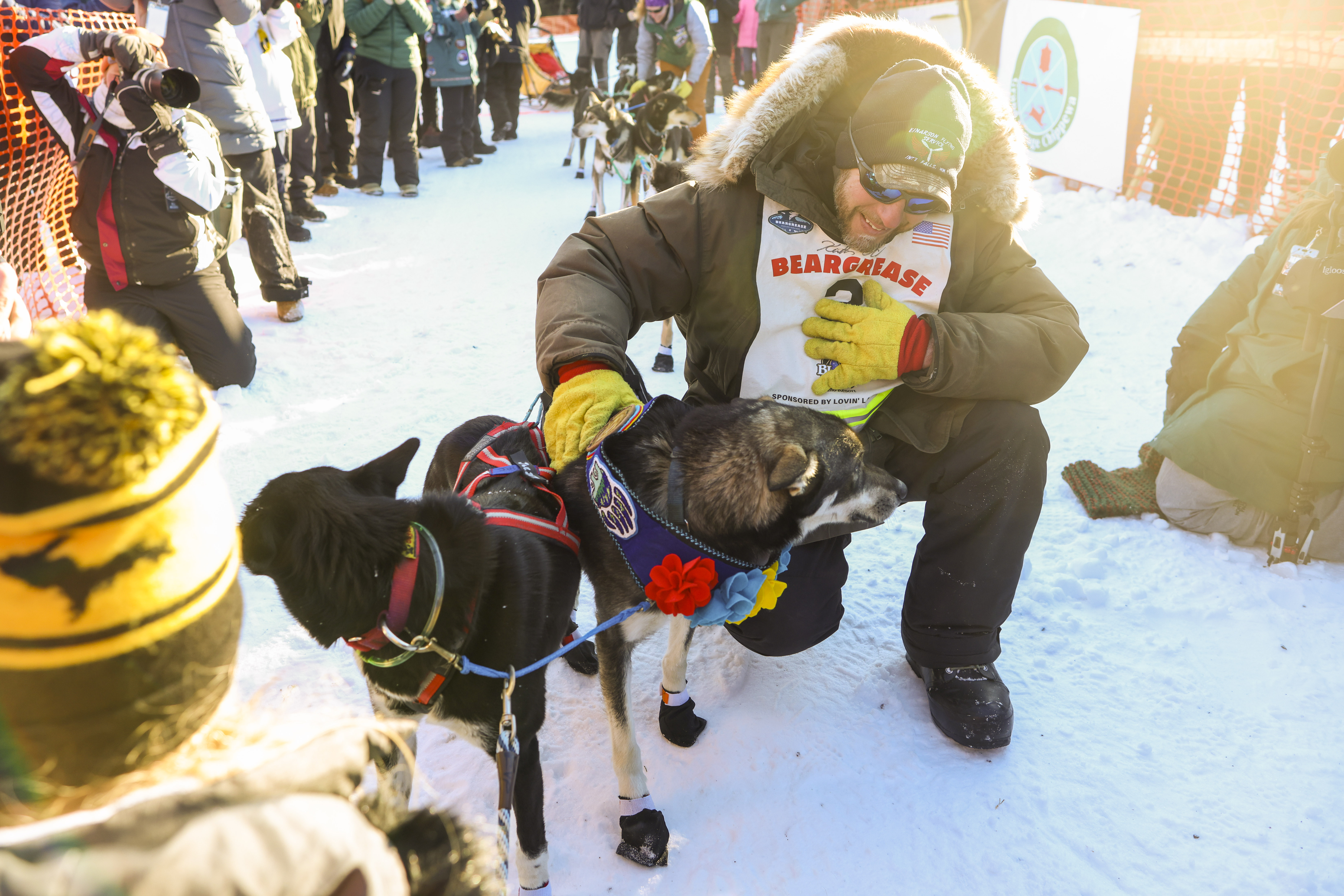 Aili wins Beargrease Sled Dog Marathon - Vimarsana News