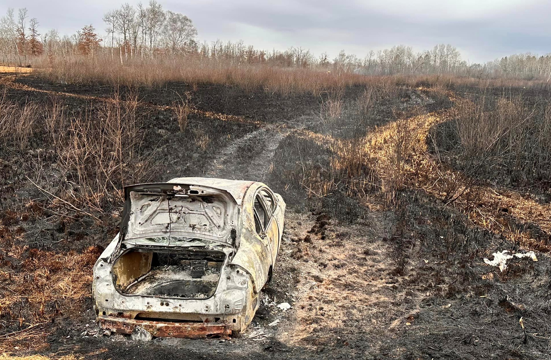 Grass fire burns 80 acres near Motley - Vimarsana News