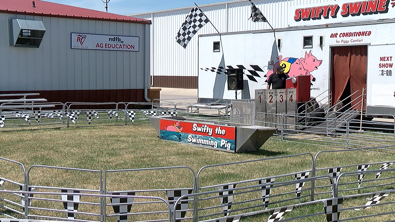Swifty Swine Racing takes off at Red River Valley Fair - Vimarsana News