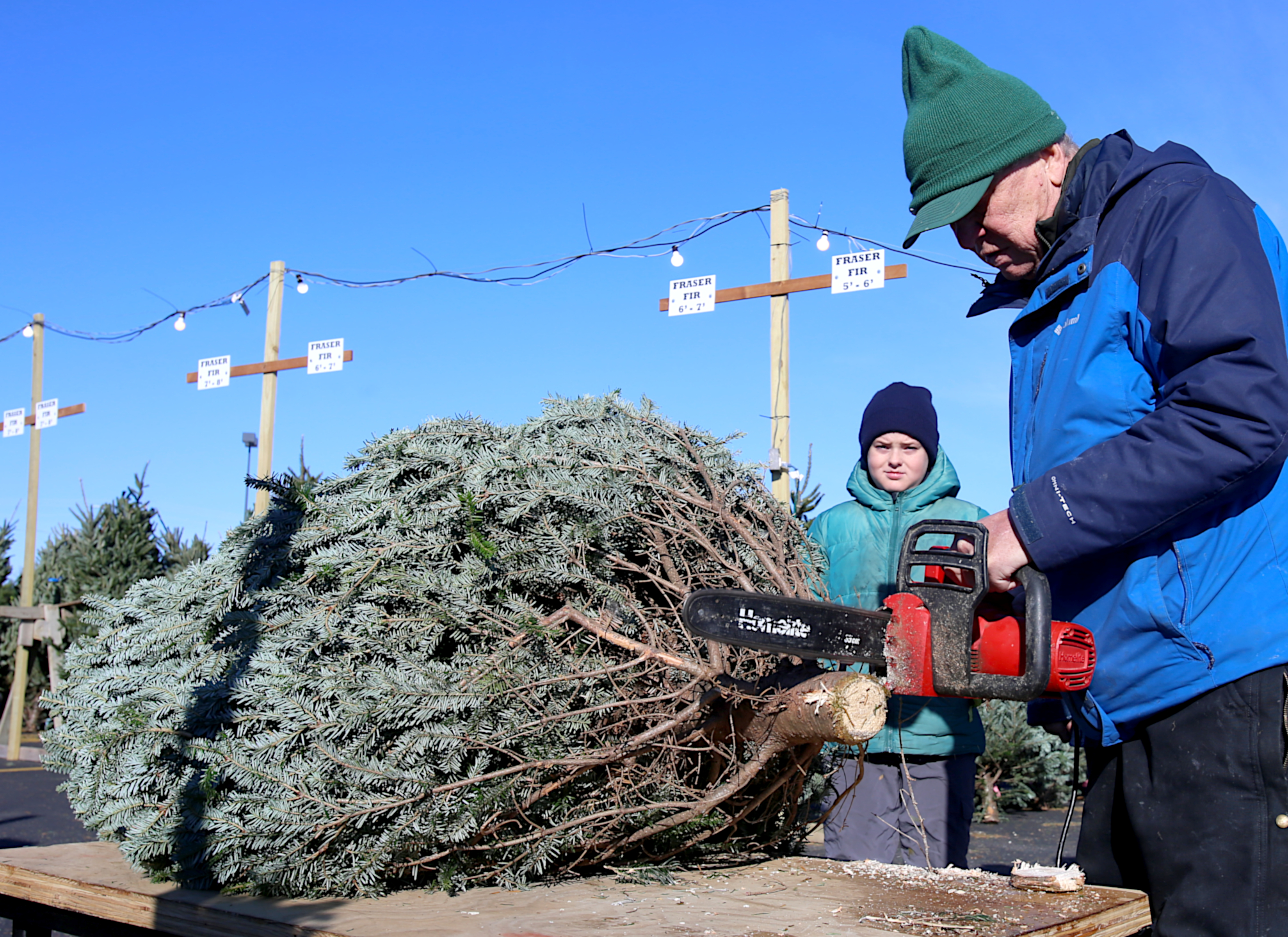 Rochester Christmas tree lot has nonprofits seeing green - Vimarsana News