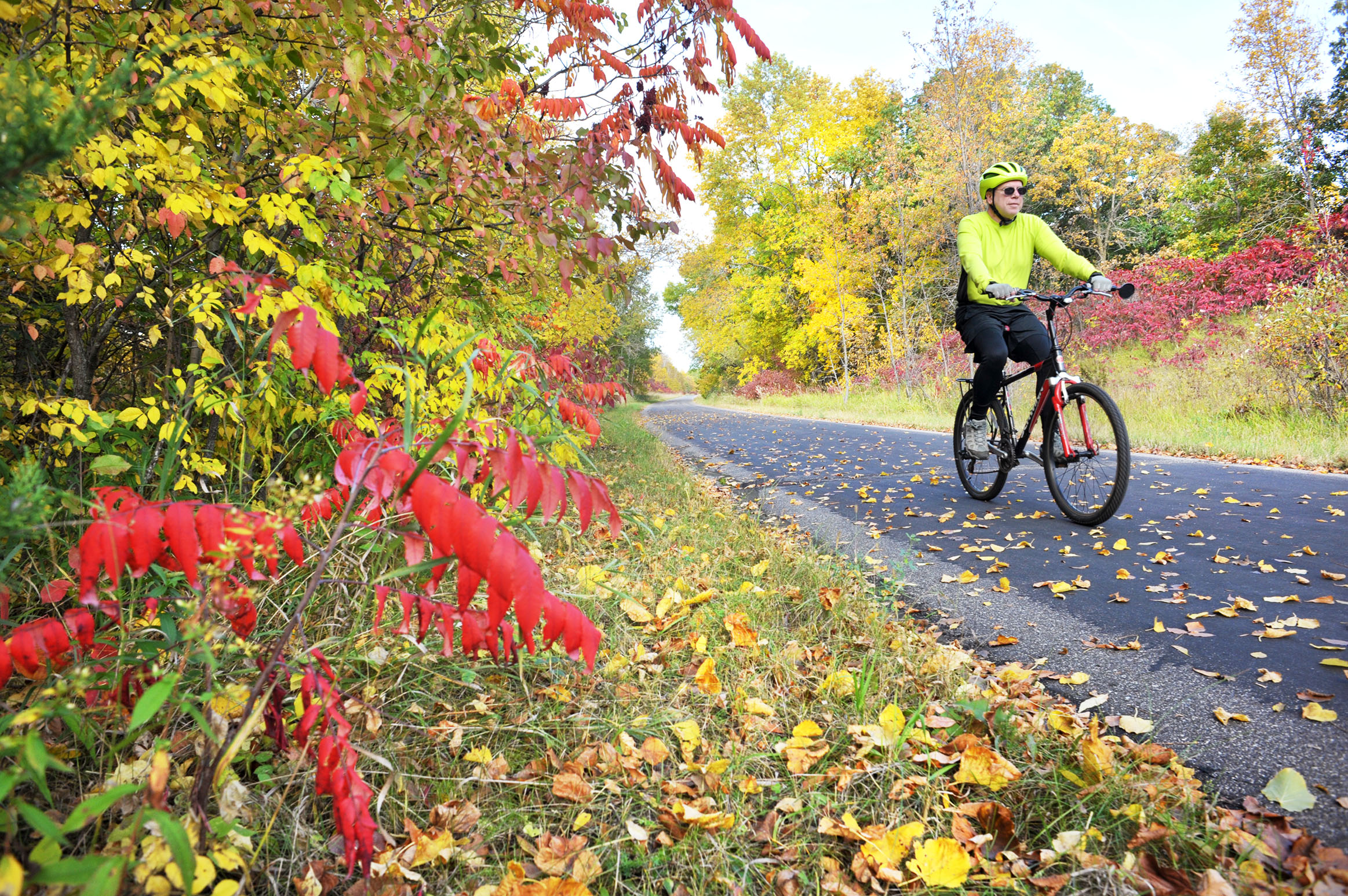 Minnesota ranked as one of the top states to visit during fall - Vimarsana News