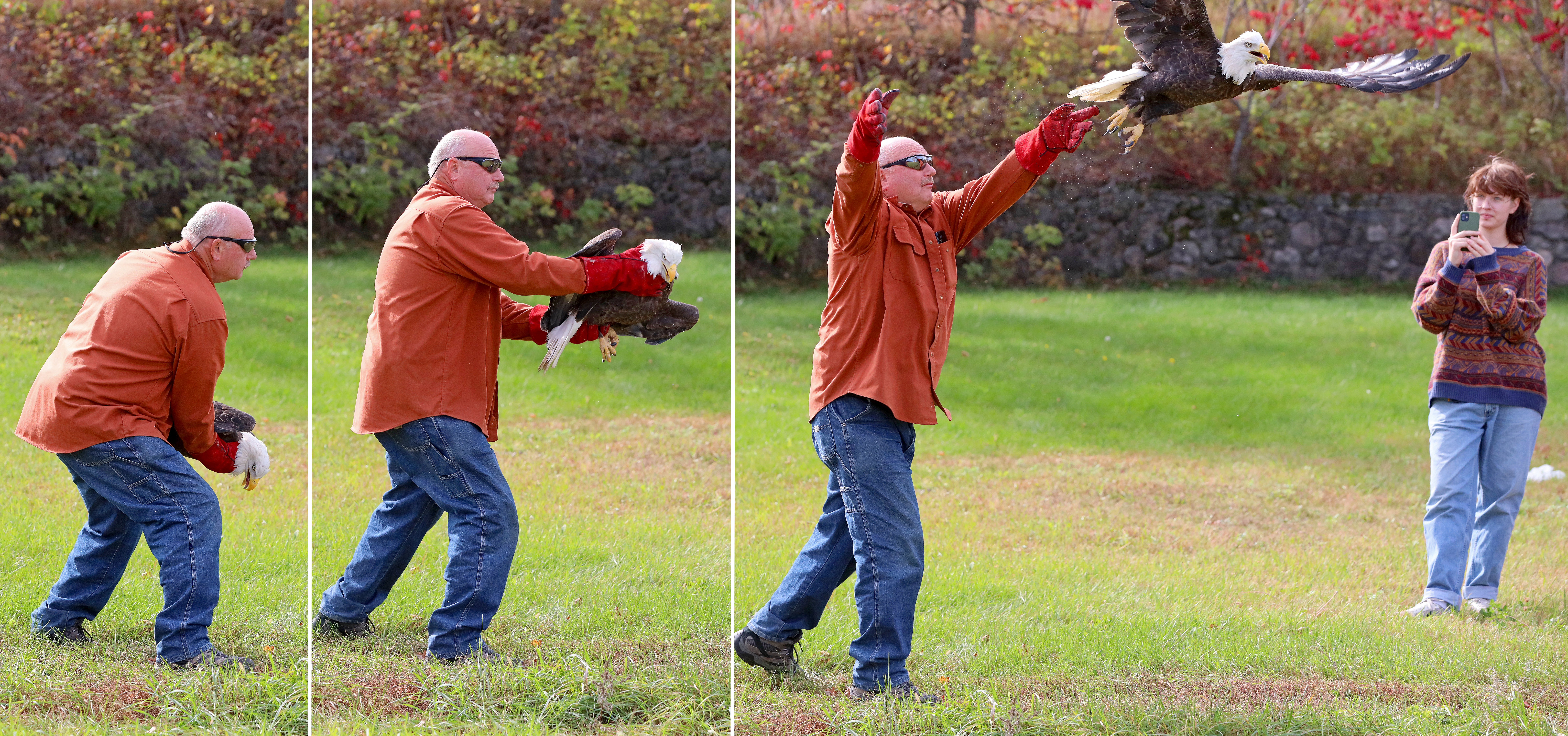 Injured eagle rehabilitated, released back into wild - Vimarsana News