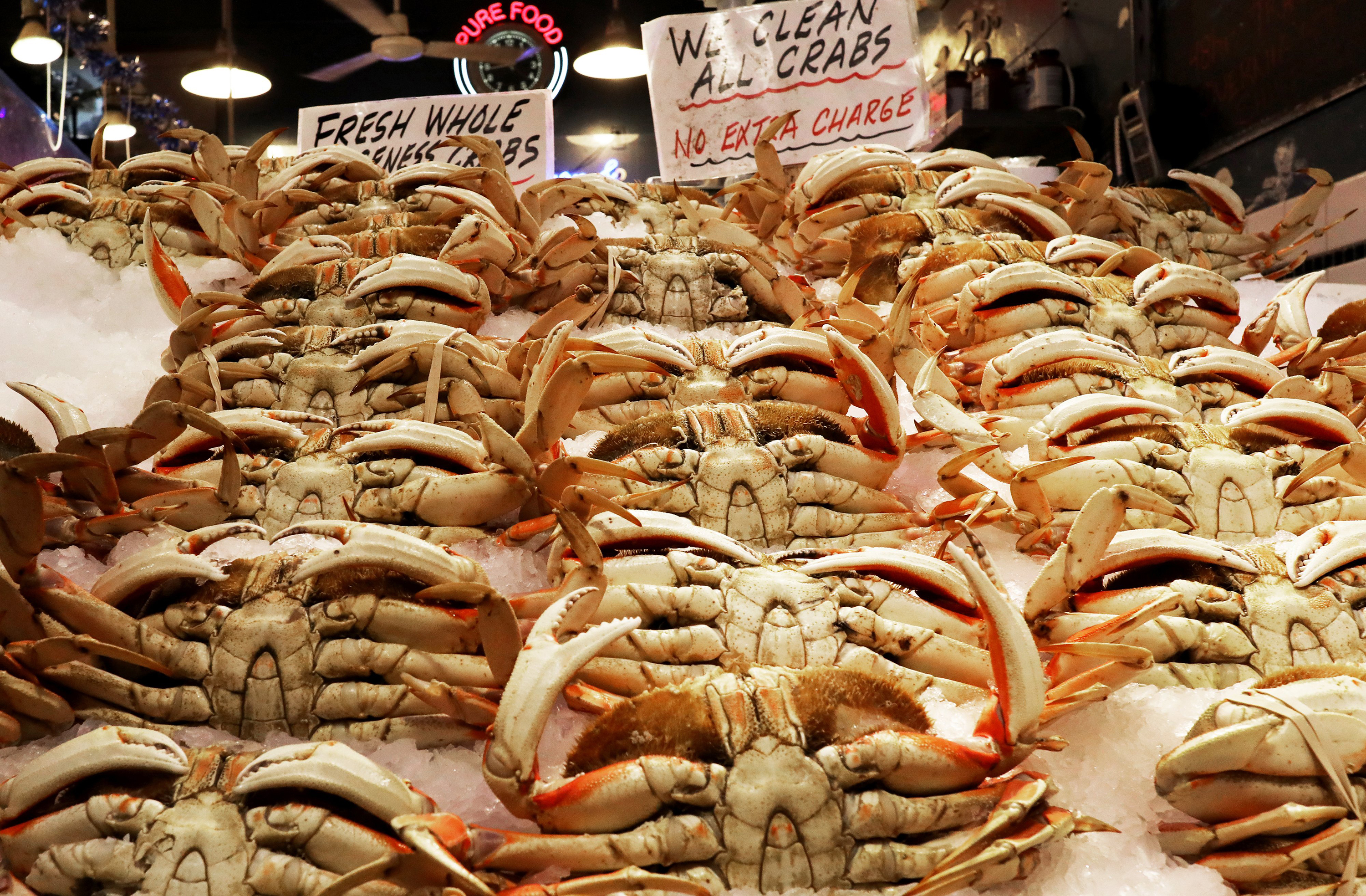 Off Washington state's coast, crabbers get early start to season, haul in bounty of Dungeness crab - Vimarsana News