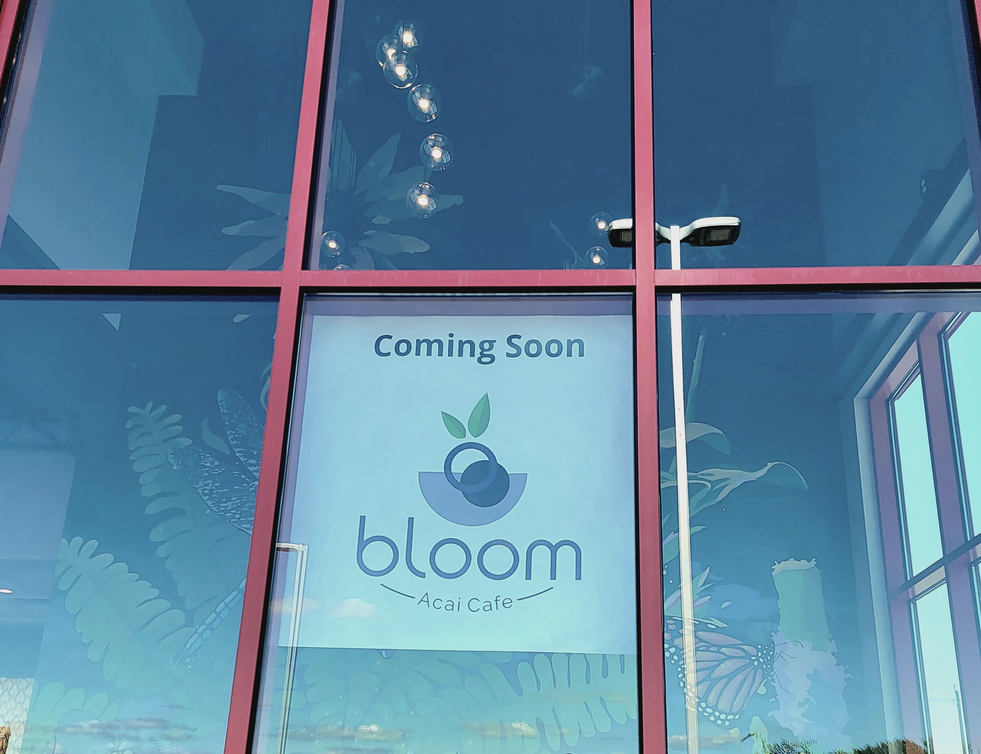 New superfood bowl café to bloom soon in northwest Rochester - Vimarsana News