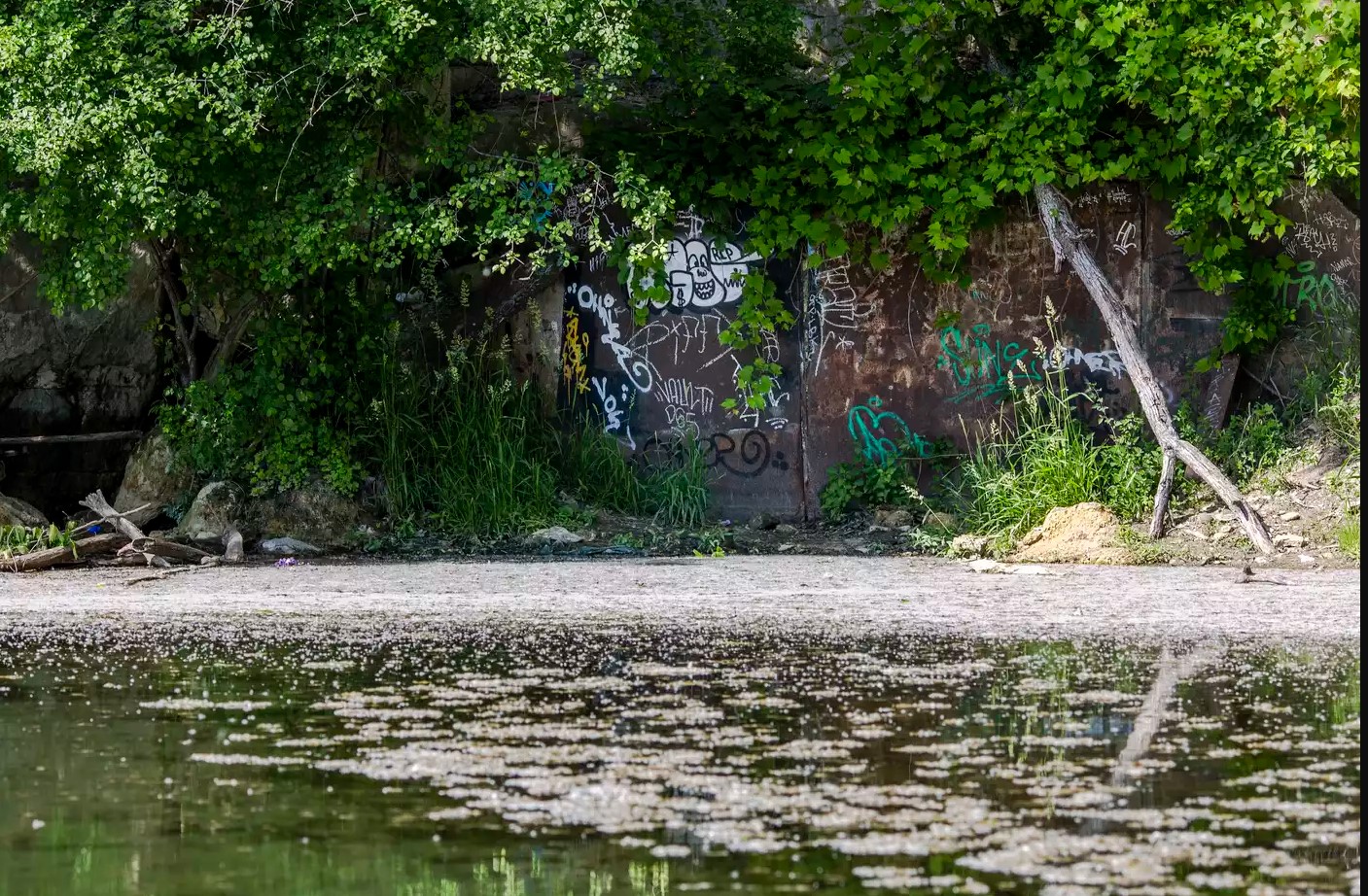 Sacred in the city: Wakan Tipi indigenous site in St. Paul prepared to welcome, educate public - Vimarsana News