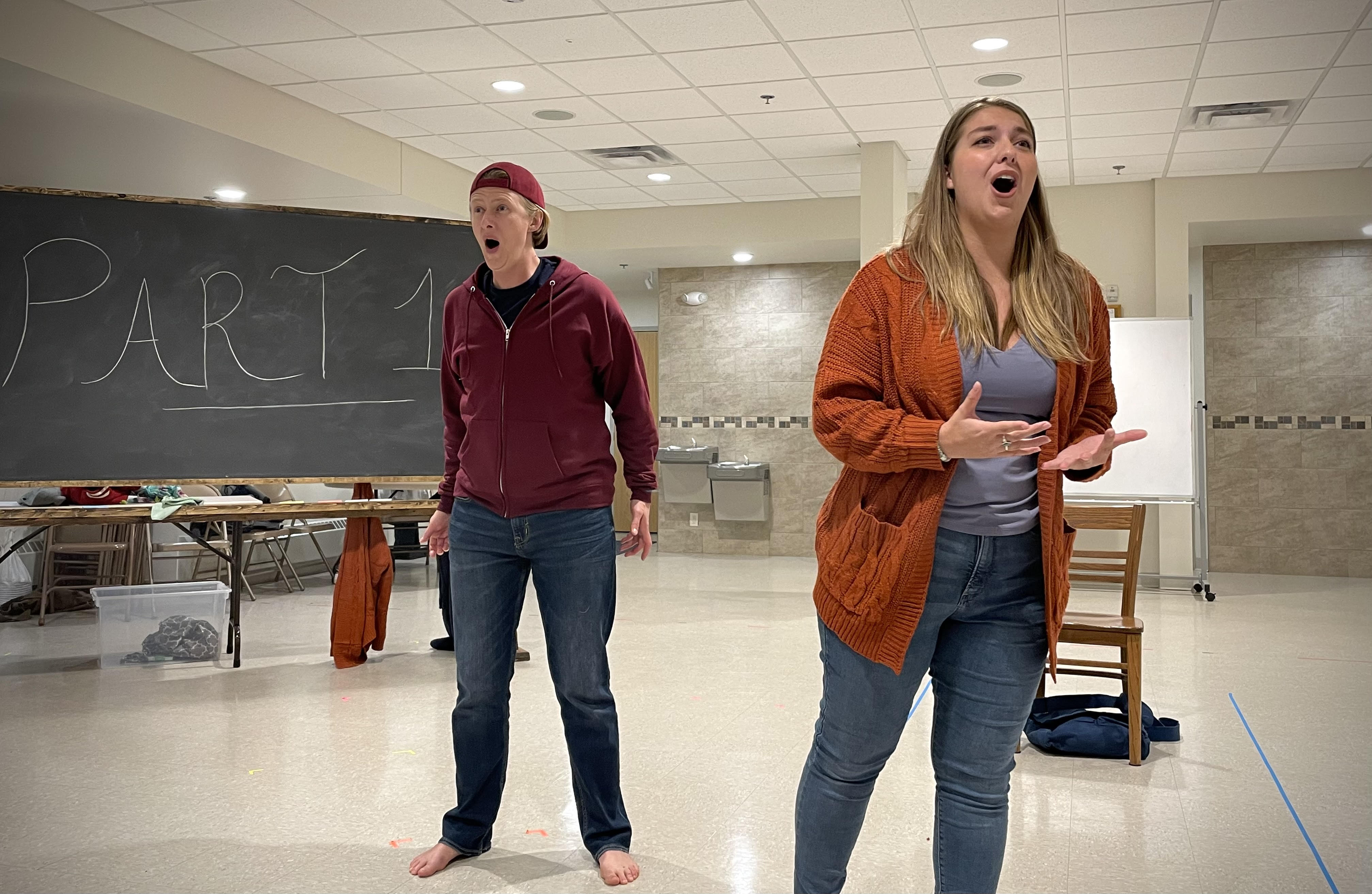 Duluth's opera company features trans-led production - Vimarsana News