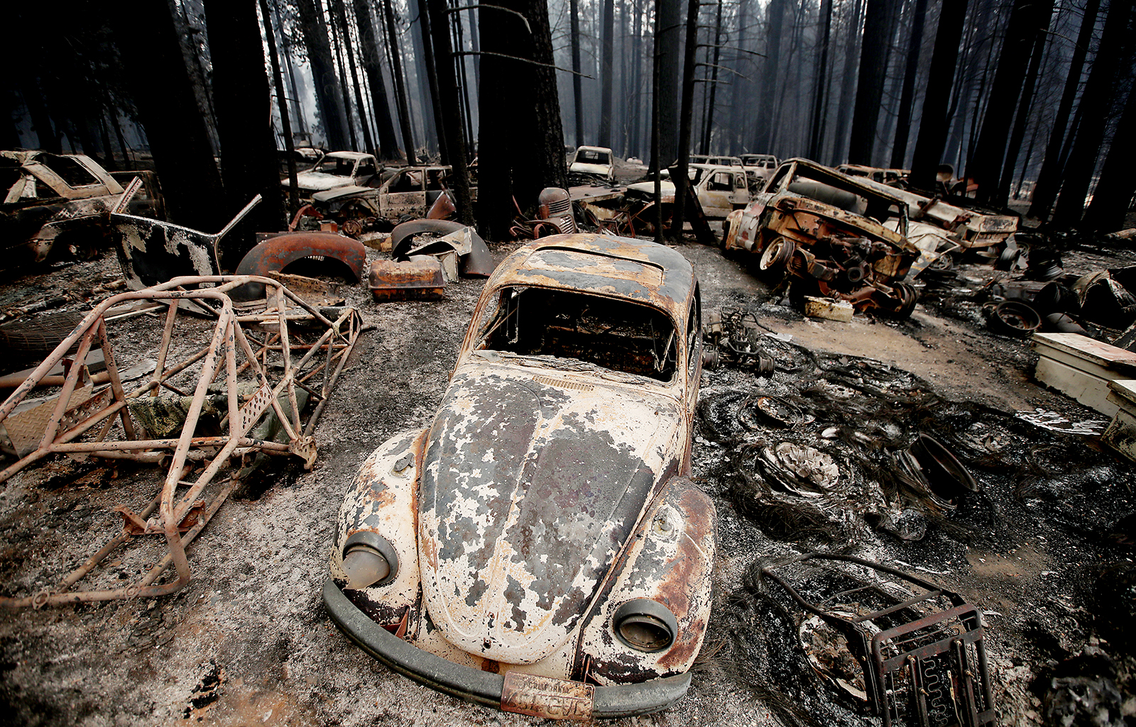 Other View: 1 in 3 Americans now 'alarmed' by climate change. Why aren't our leaders? - Post Bulletin - Vimarsana News