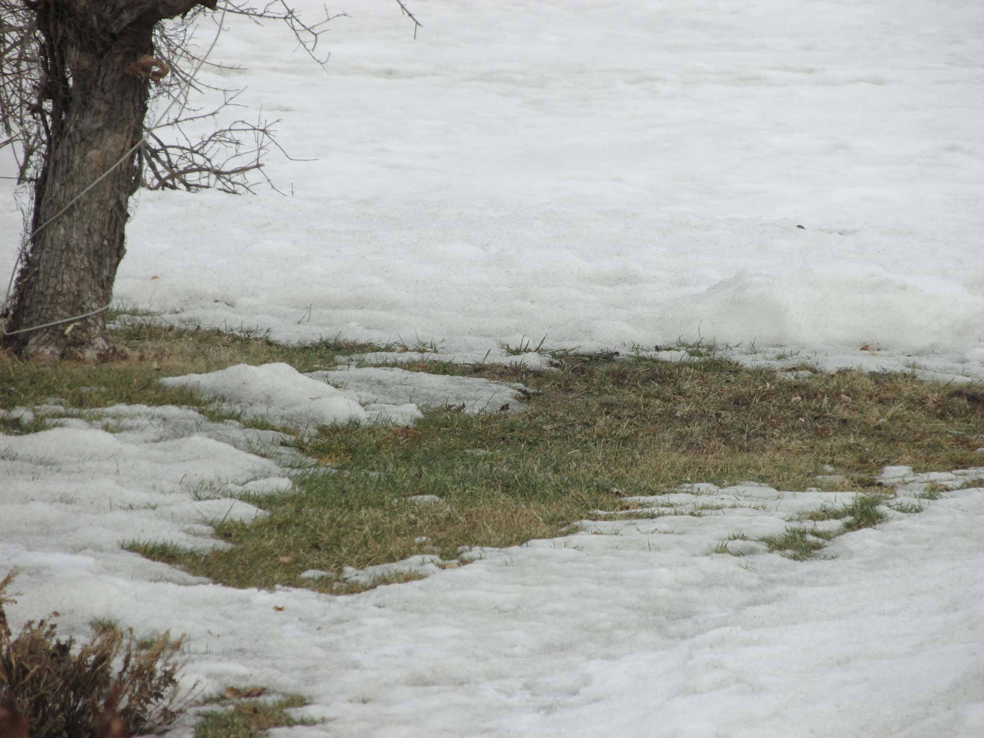 Spring is right around the corner - Vimarsana News