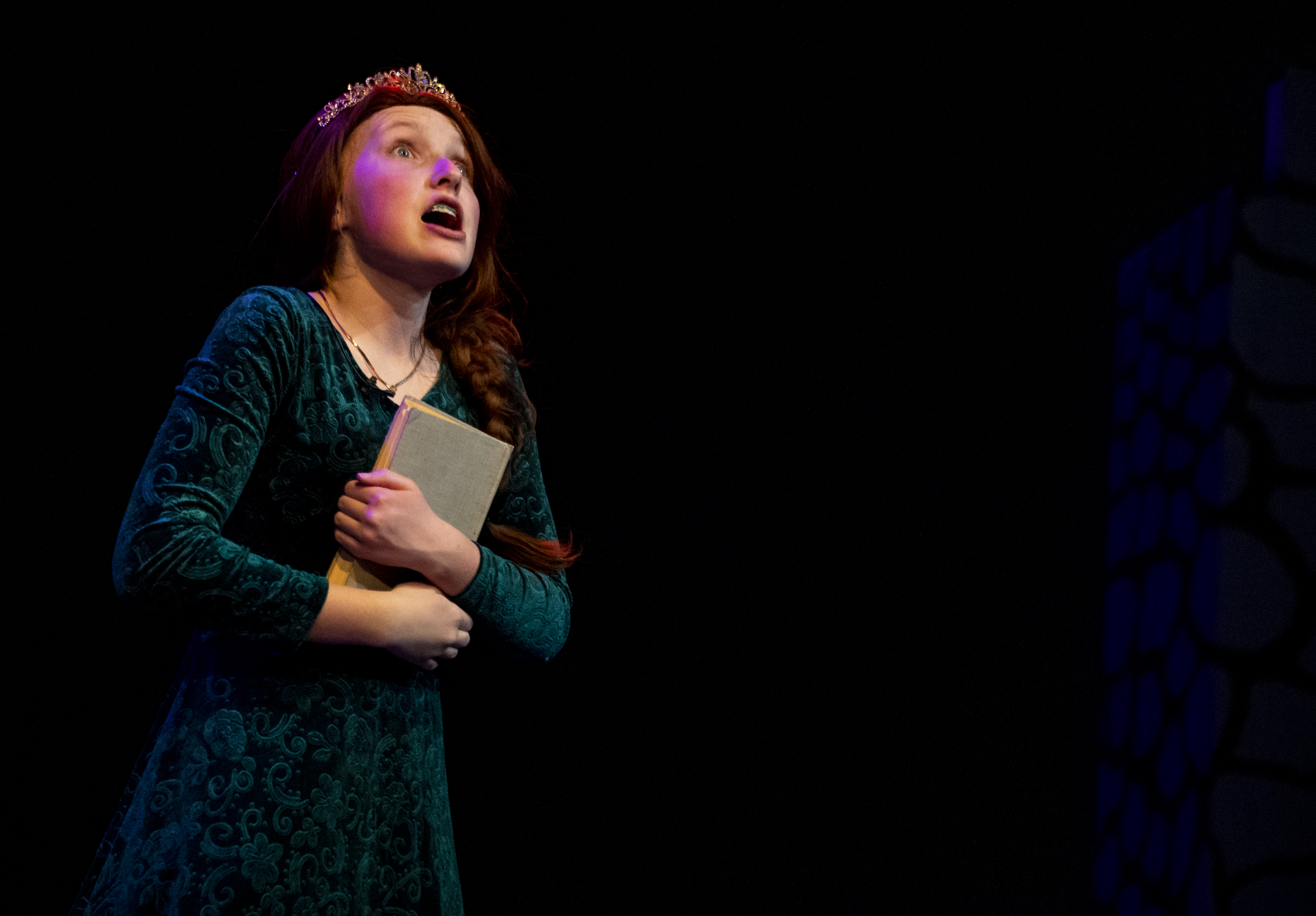 Barn Theatre review: 'Shrek the Musical' not your predictable fairytale fantasy - Vimarsana News