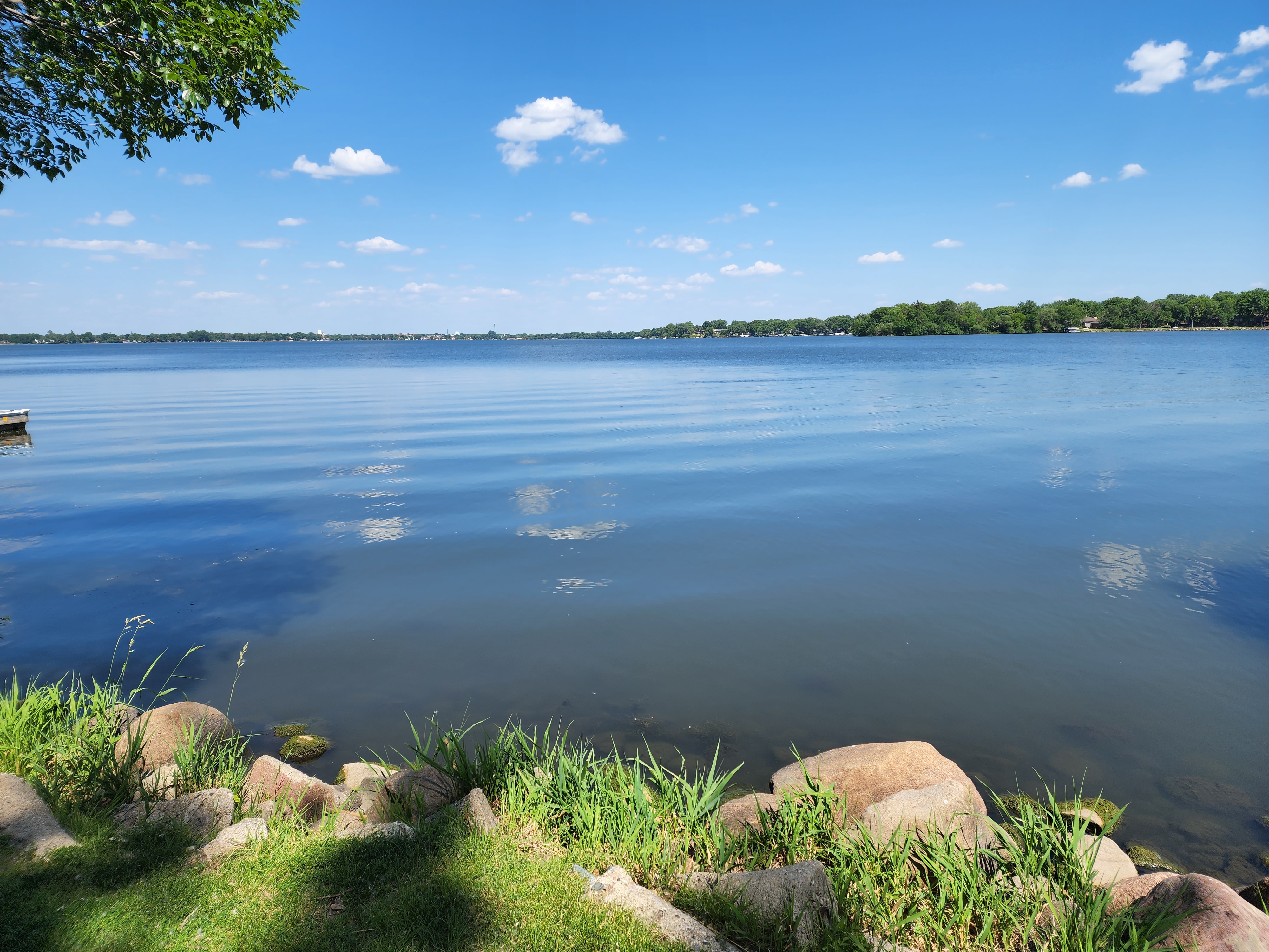 Olson Trust dedicates money to carp removal, runoff prevention efforts - Vimarsana News