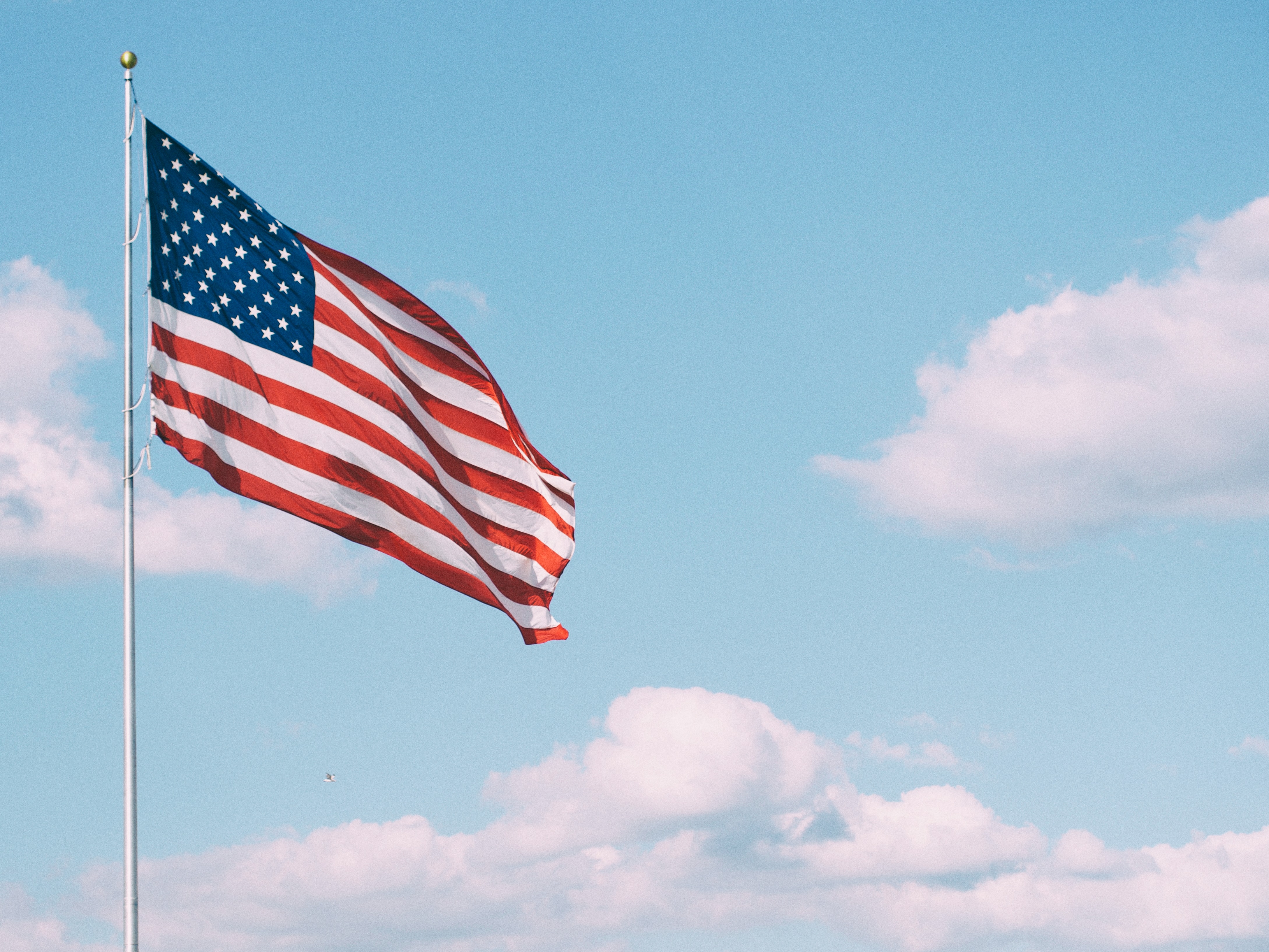 Column: District 518 hosts Veterans Day events, activities for students and the public - Vimarsana News