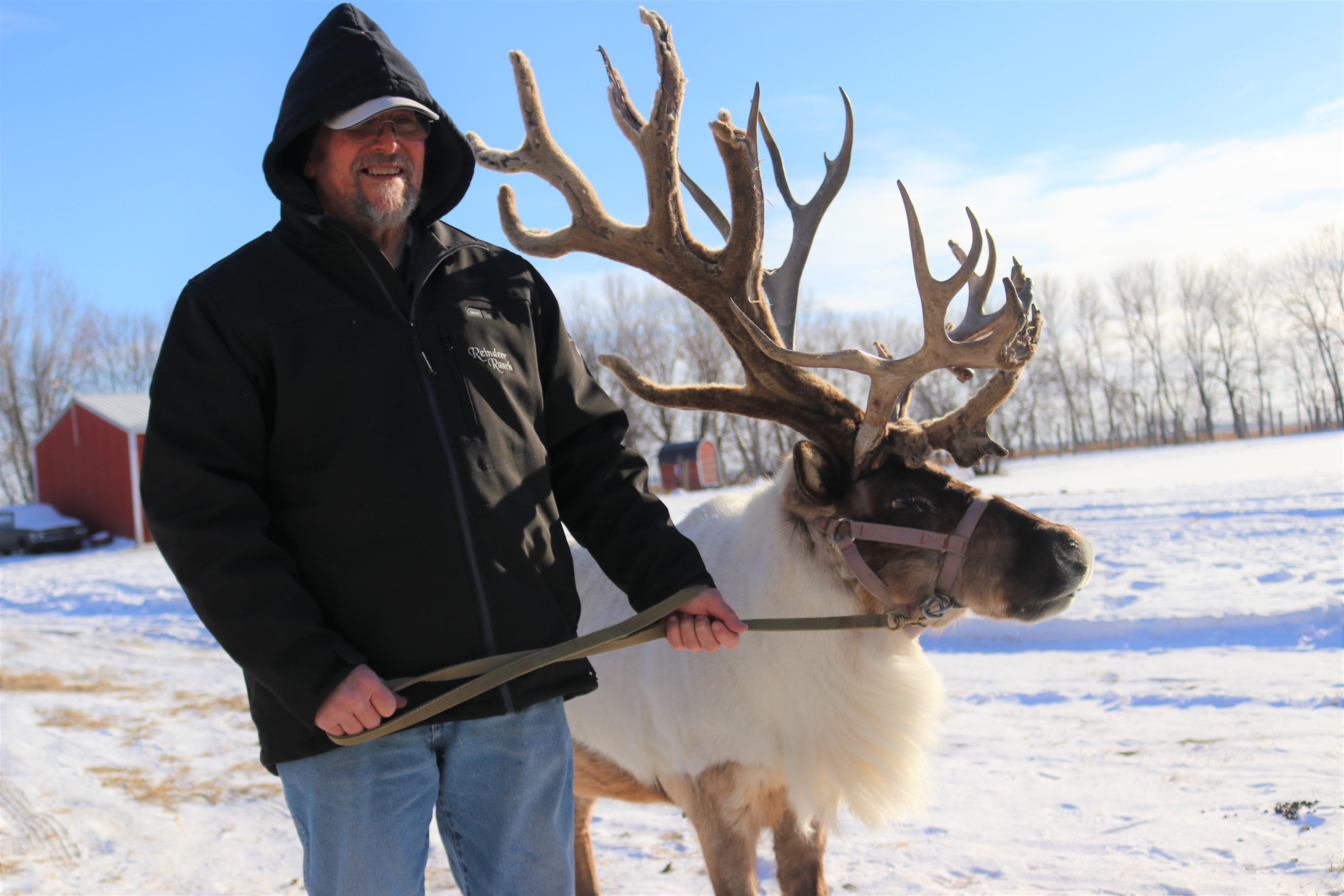 The Reindeer Ranch spreads holiday cheer in the upper Midwest - Vimarsana News