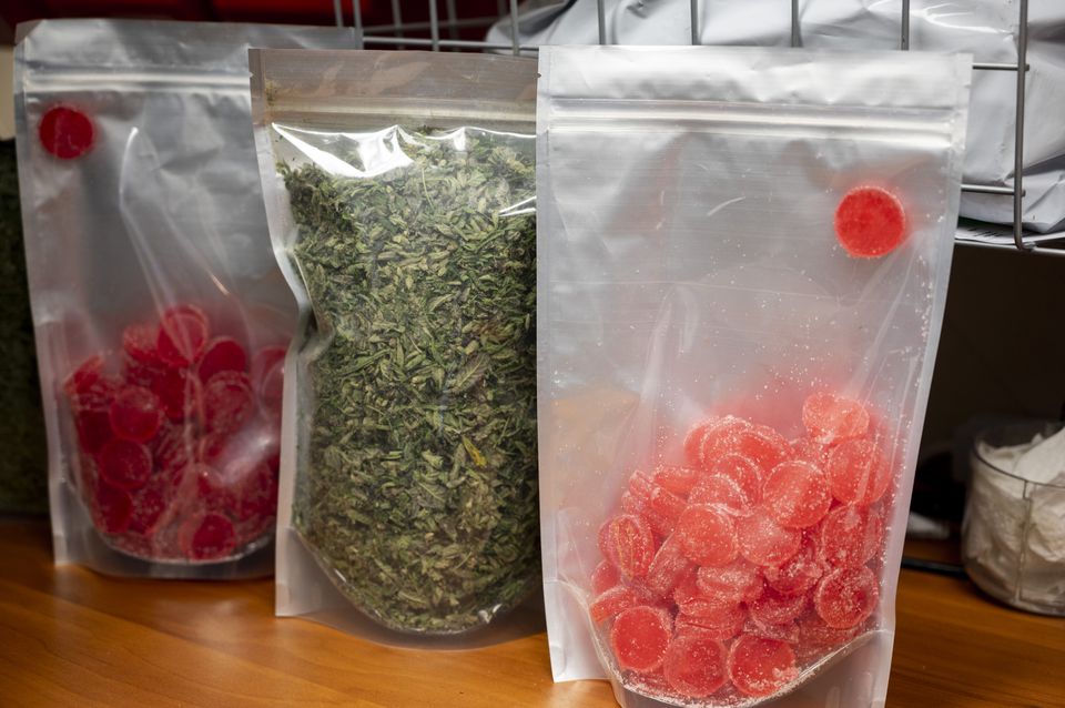 Edibles soon available through Minnesota medical cannabis program - Vimarsana News