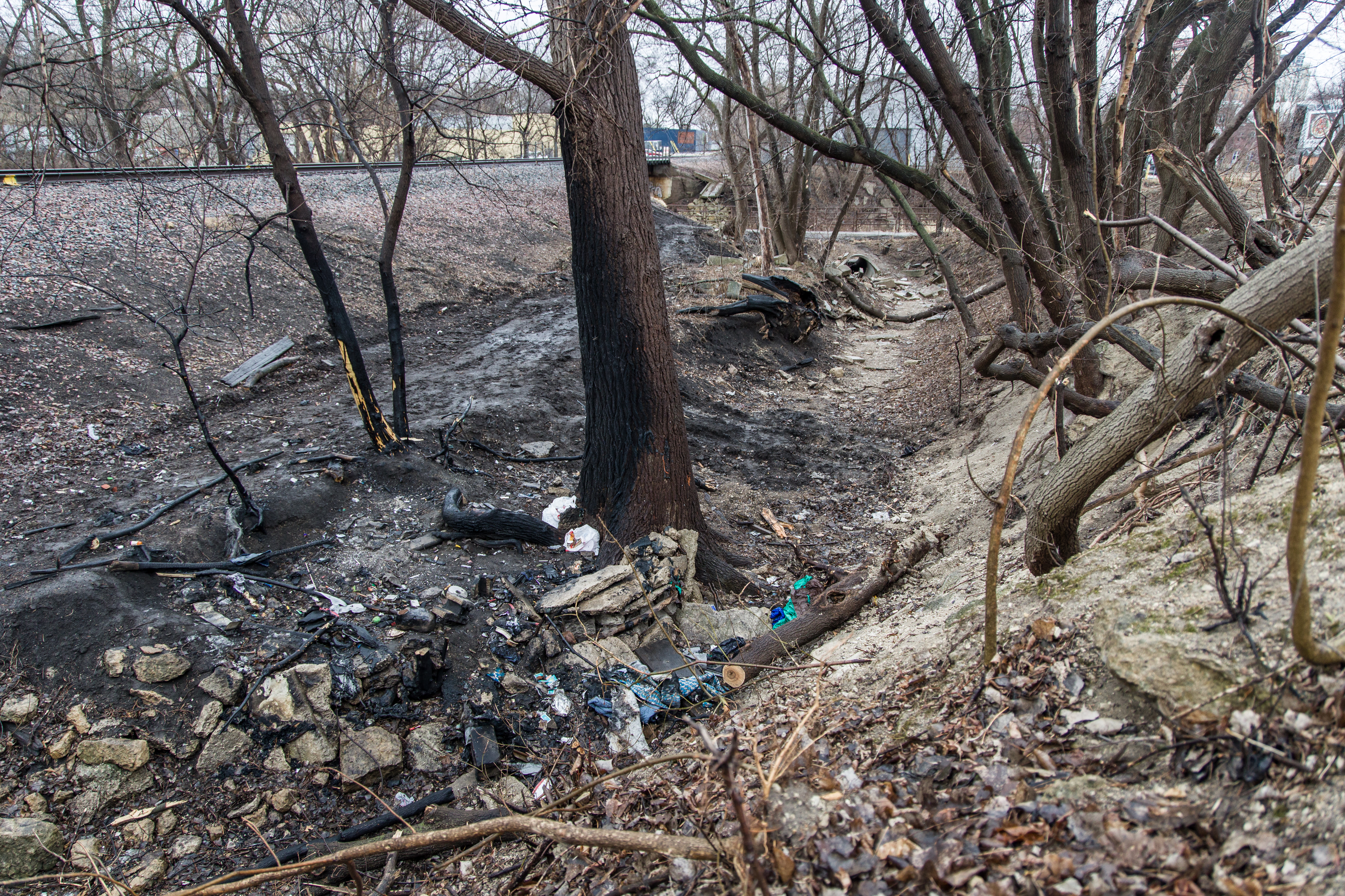 Notice is provided before city dismantles homeless camps - Vimarsana News