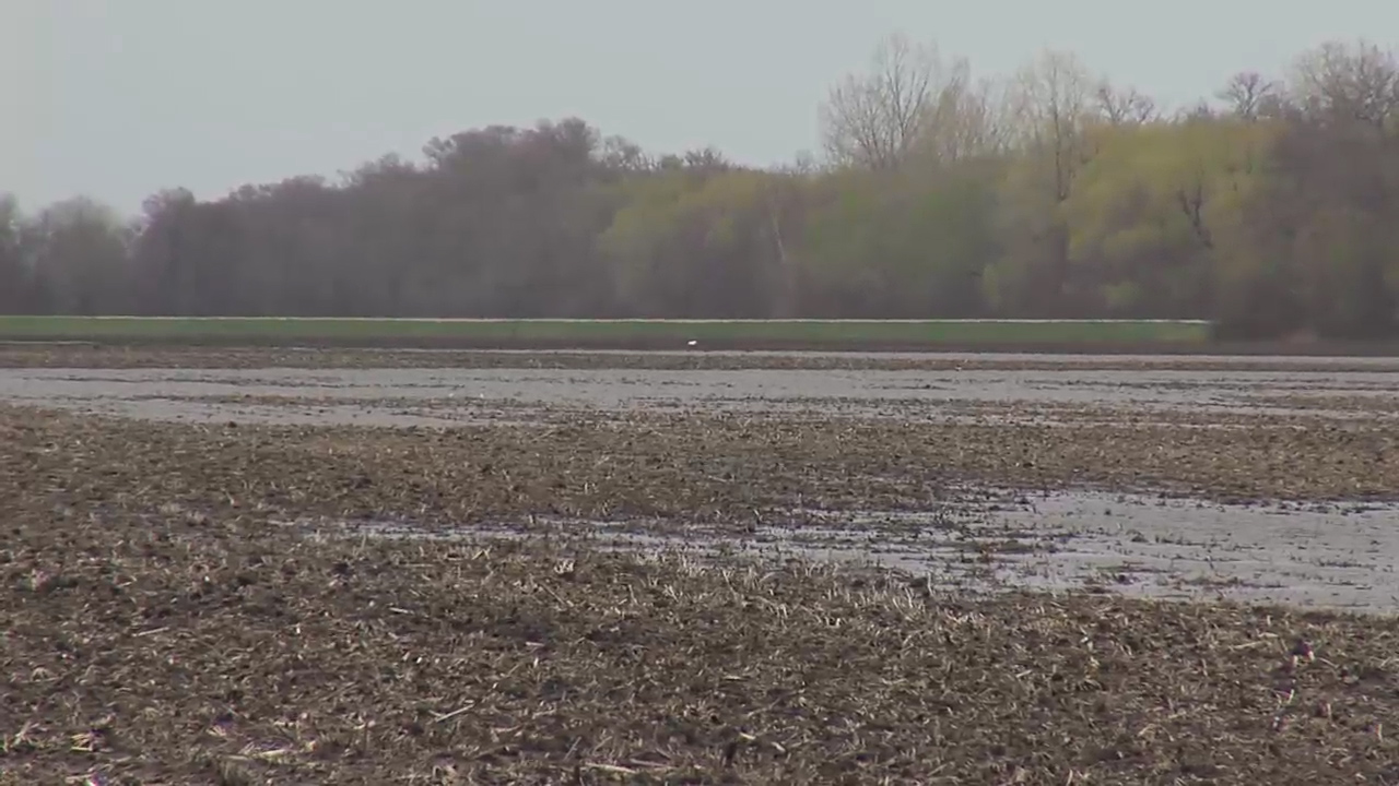 Soaked fields set back crops up and down the Red River Valley - Vimarsana News