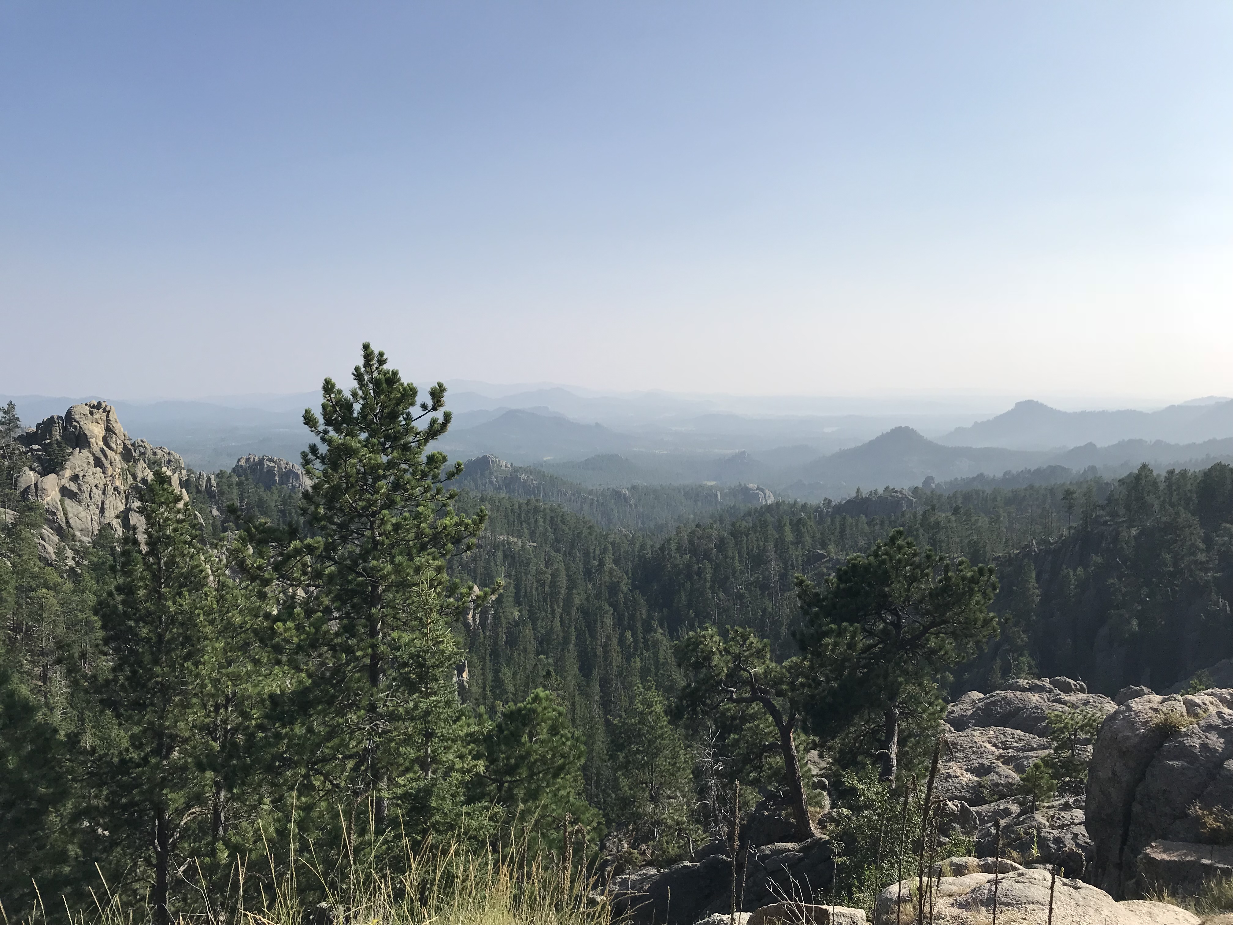Plan to expand campsites at Custer State Park defeated in committee - Vimarsana News