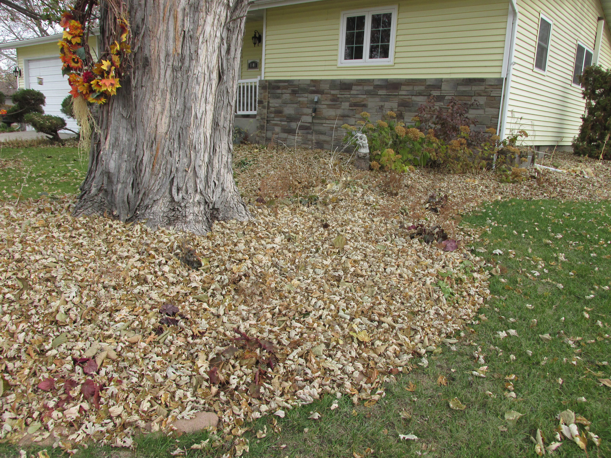 How should we prepare for a cold dry winter? - Vimarsana News
