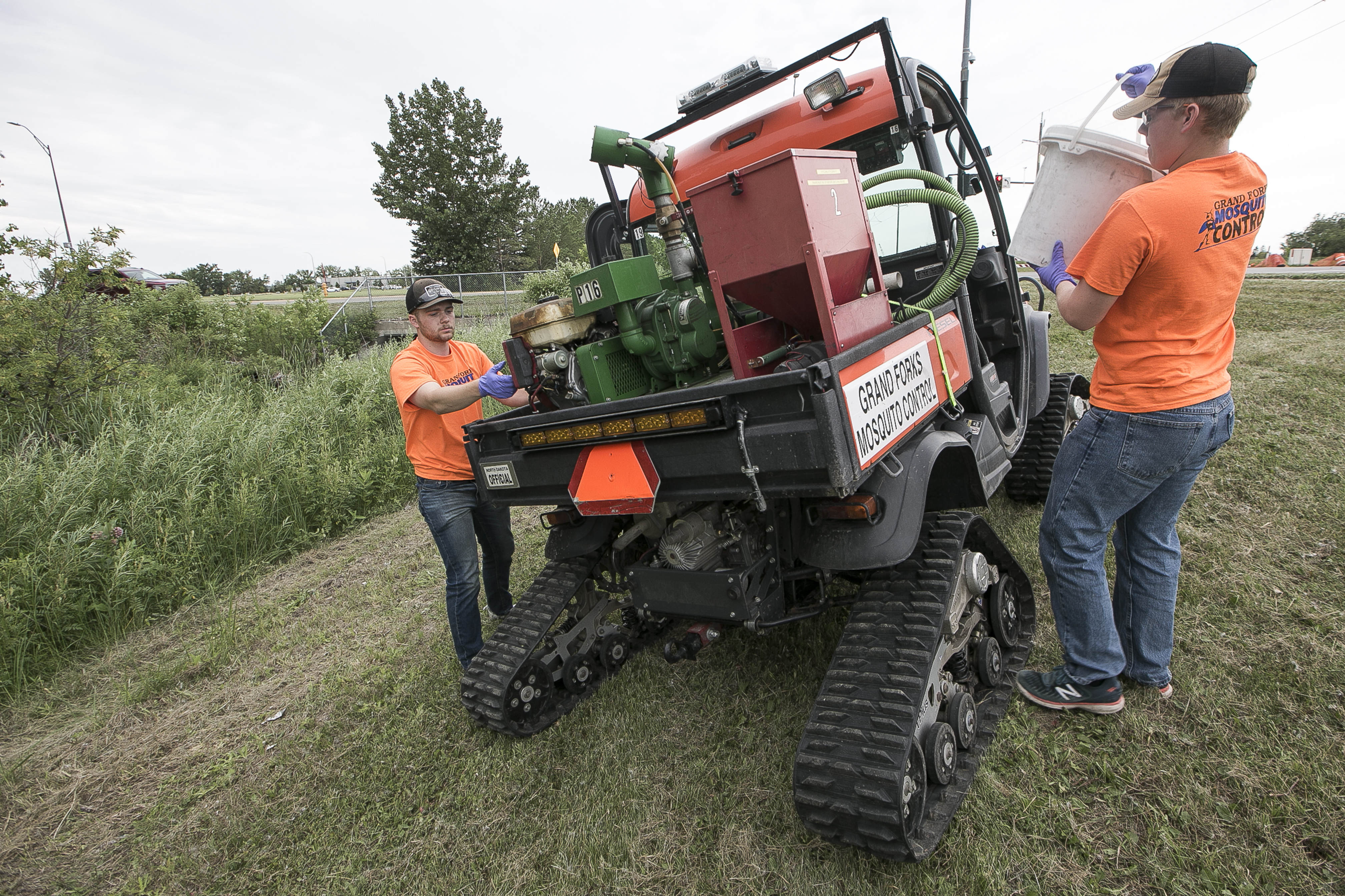 Overall Grand Forks mosquito population remains similar to last year, despite rainy start to season - Vimarsana News