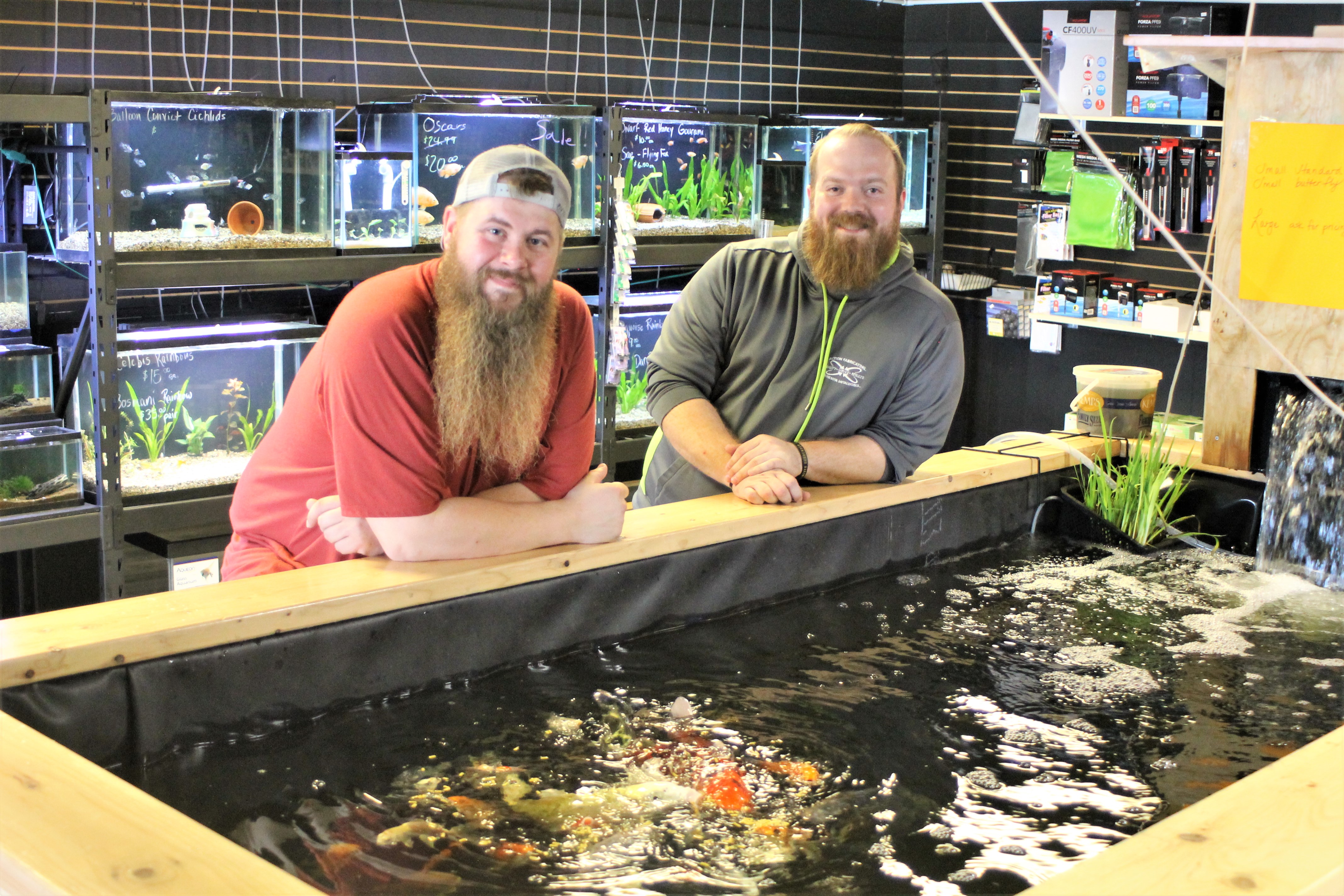 Oh, koi! New specialty fish store, Deez Fish, opens in Detroit Lakes - Vimarsana News