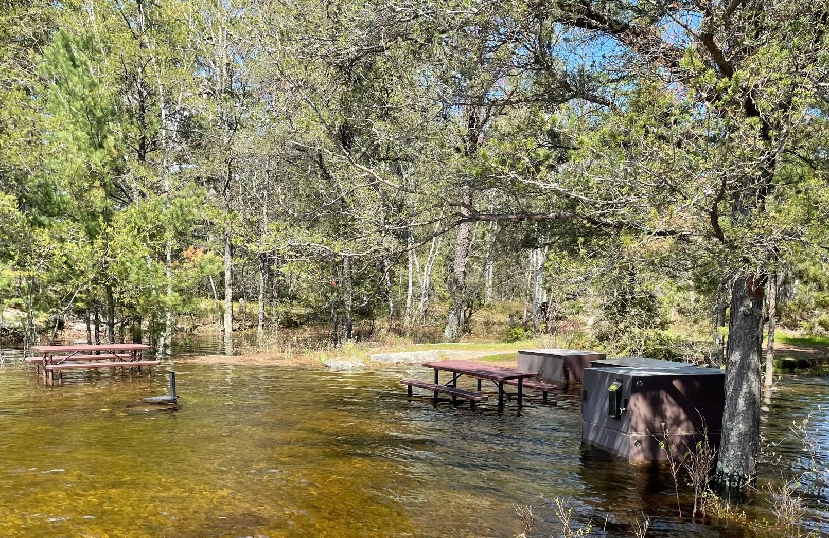 Koochiching County evacuation check-in point to move Sunday, road to close - Vimarsana News