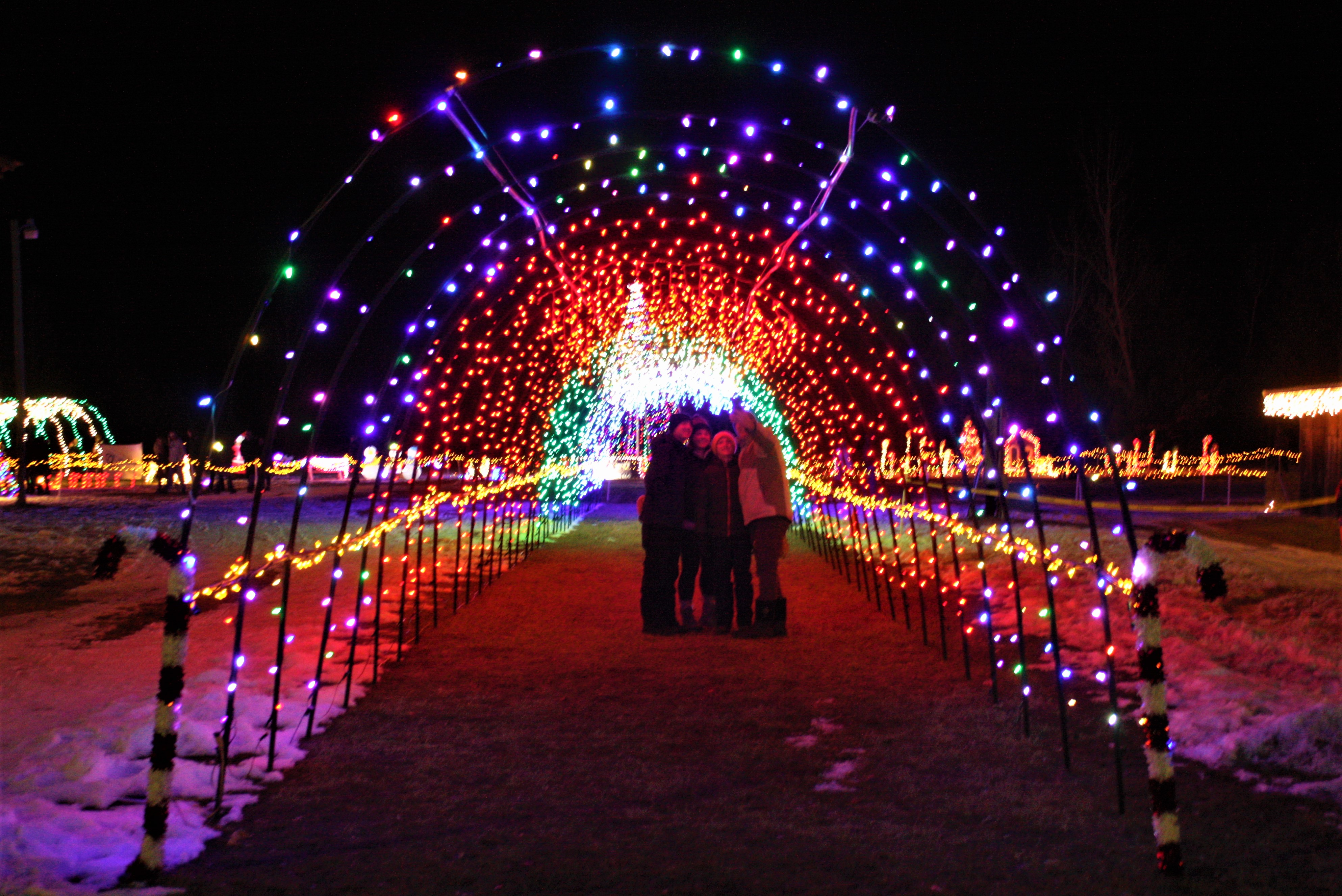 Lights in the Pines was a success, but what about its future? - Vimarsana News