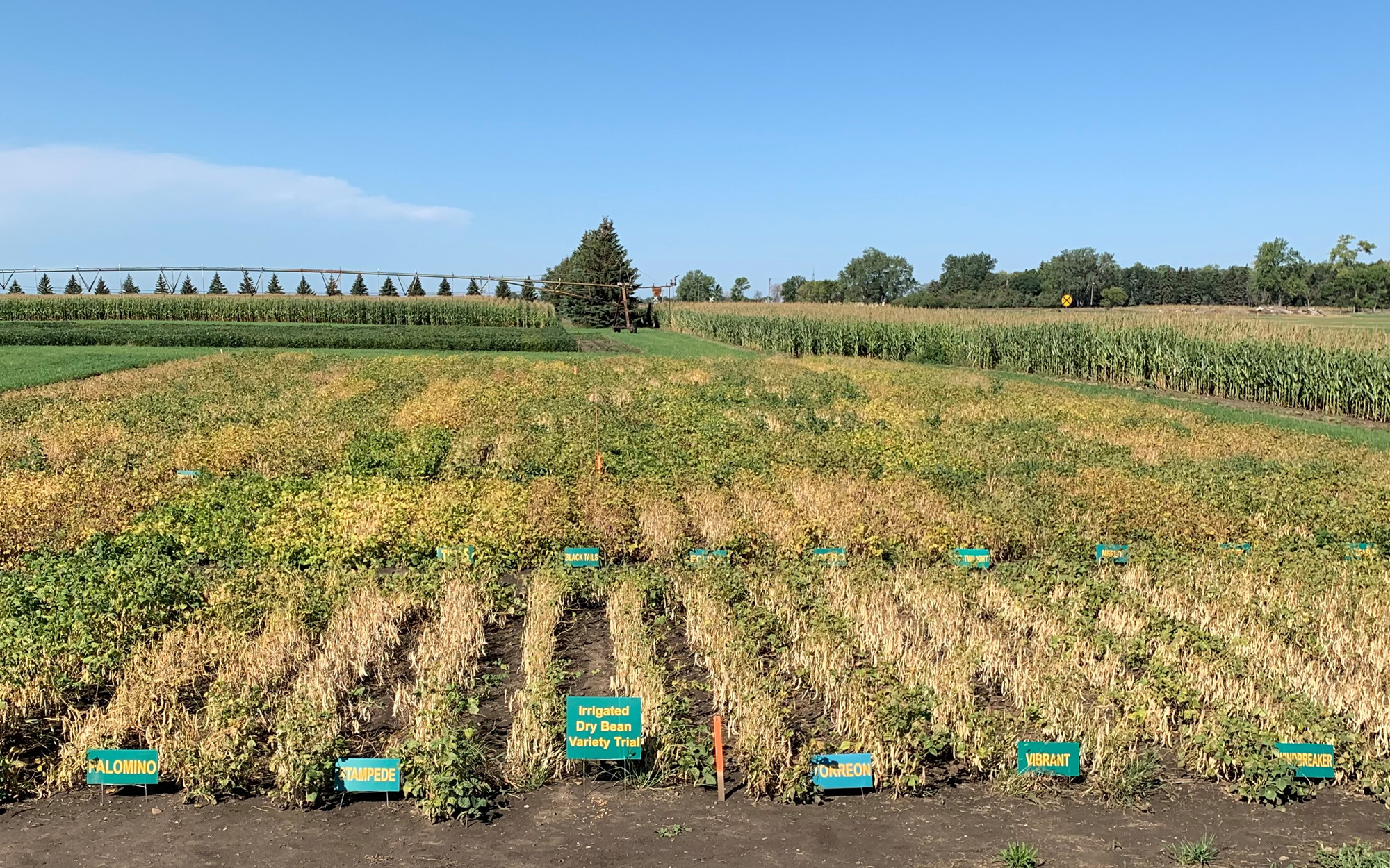 Getting-it-Right crop production recordings available - Vimarsana News