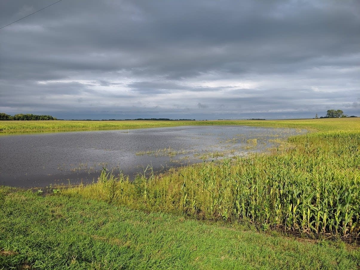 'The fact is we're behind': Minnesota climate plan calls for swift, strong action - InForum | Fargo, Moorhead and West Fargo news, weather and sports - Vimarsana News