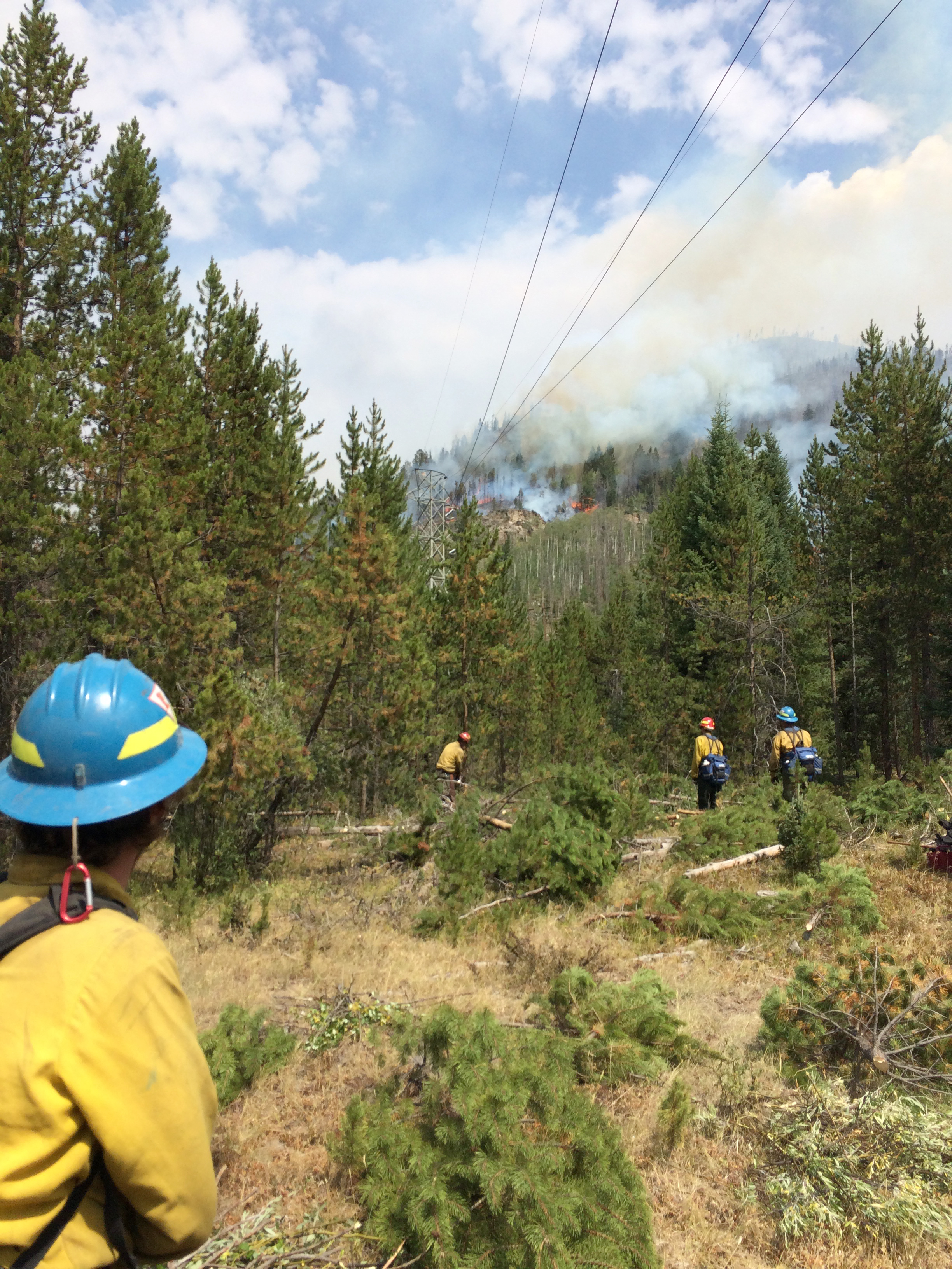 Wildfire Academy prepares crews for duty - Vimarsana News