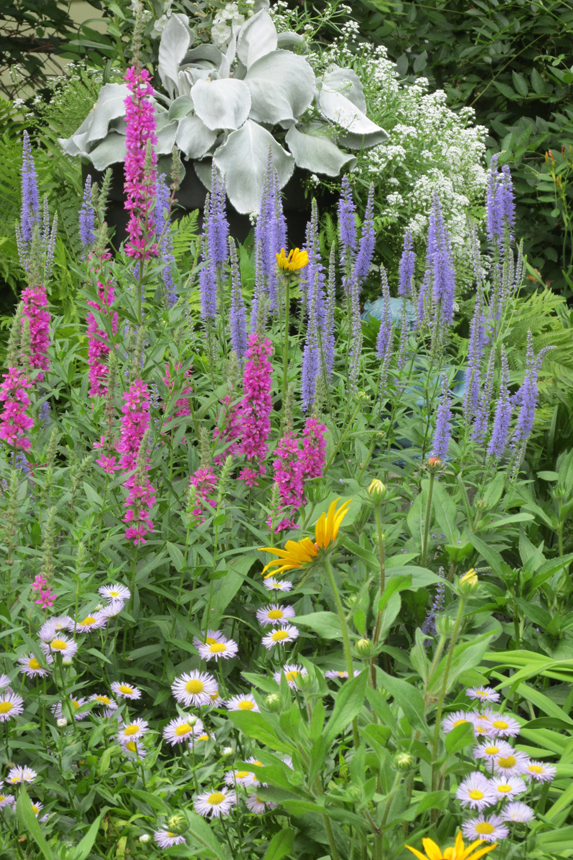 Take in the annual garden tours - Vimarsana News