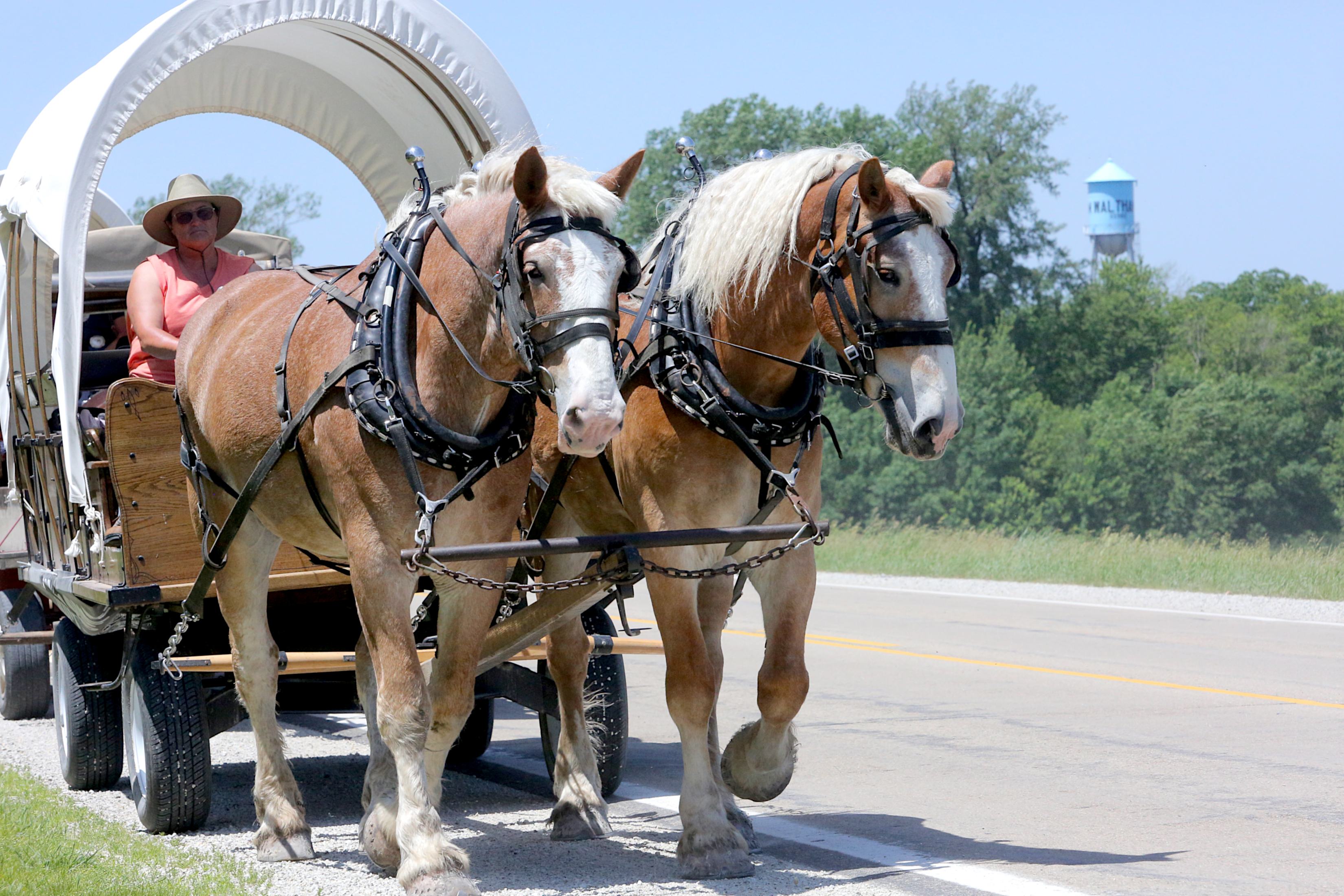 Wagon train begins its 100-mile ride from Kasson - Vimarsana News