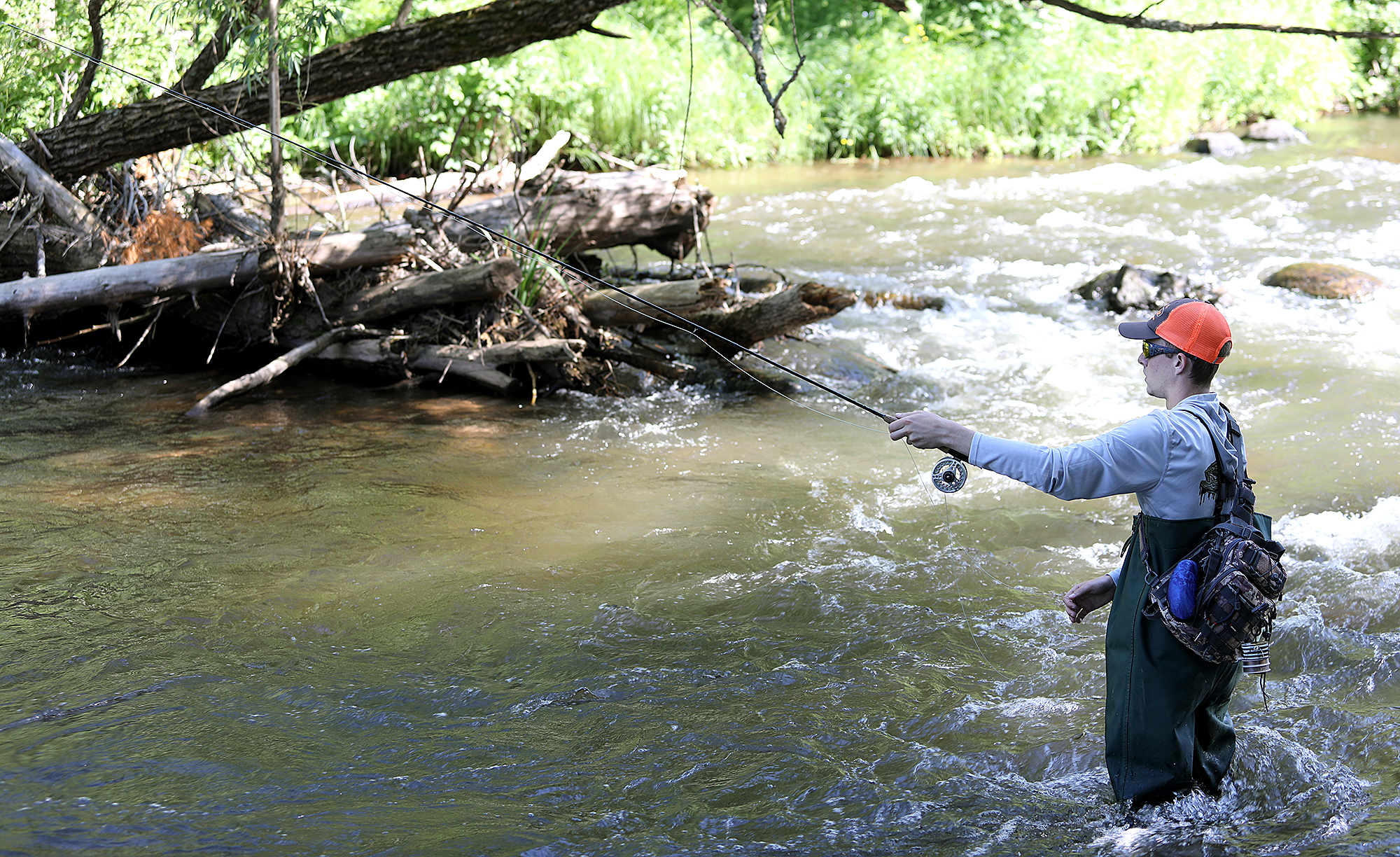 Input sought for plan to control aquatic invasive plants on Brule River - Vimarsana News