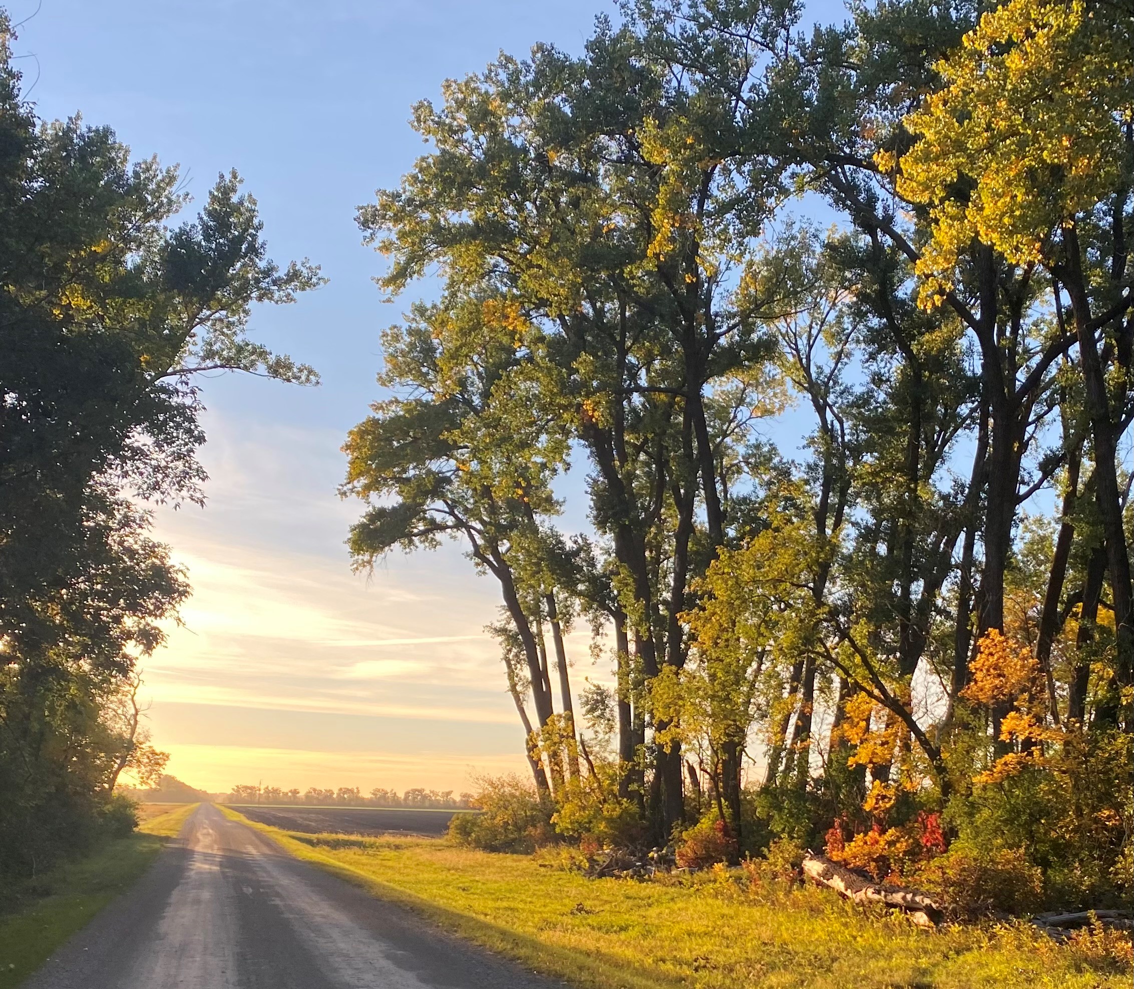 Picturing fall colors before the leaves blow away - Vimarsana News