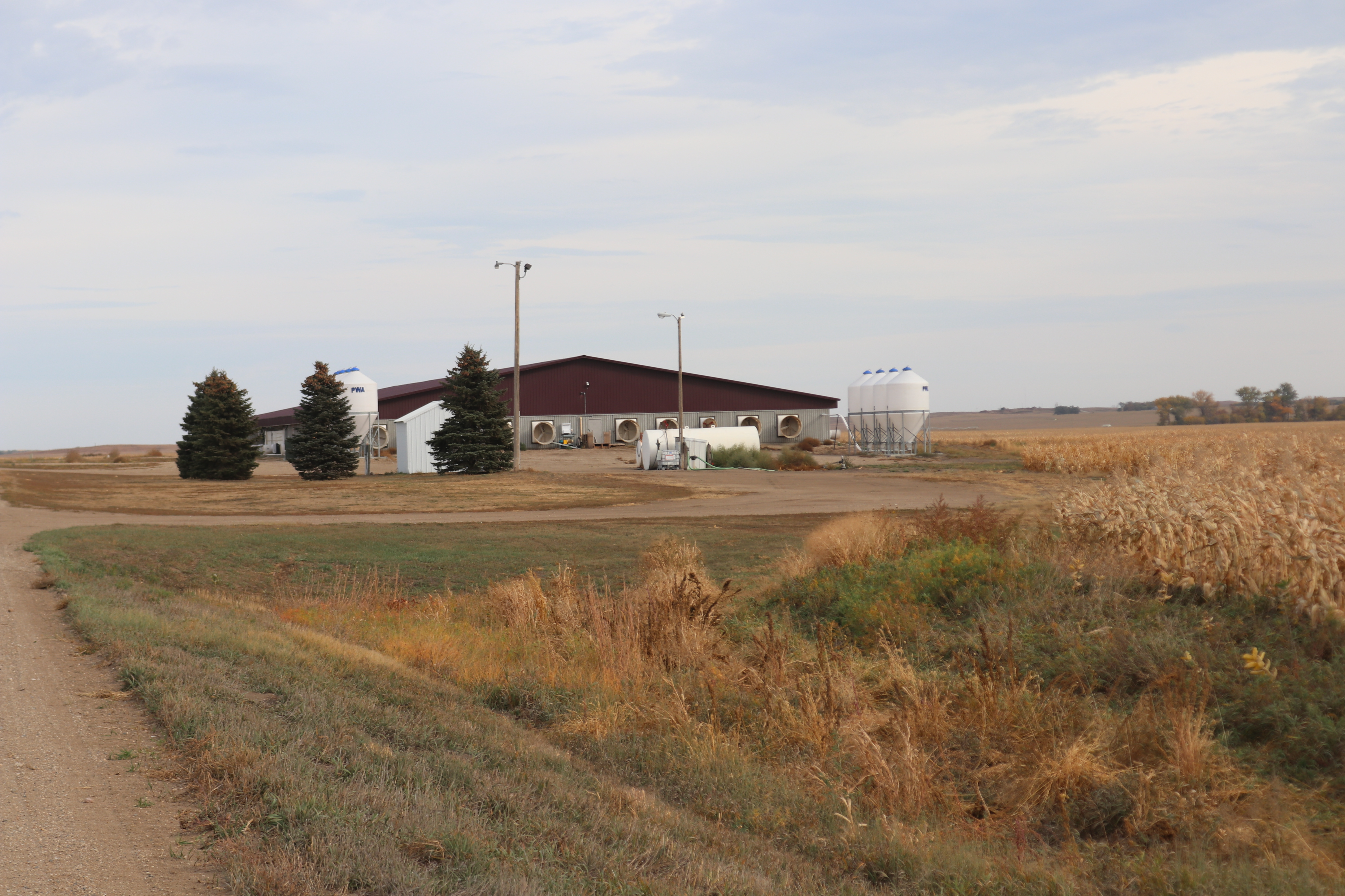 North Dakotans argue merits of corporations in animal agriculture - Vimarsana News
