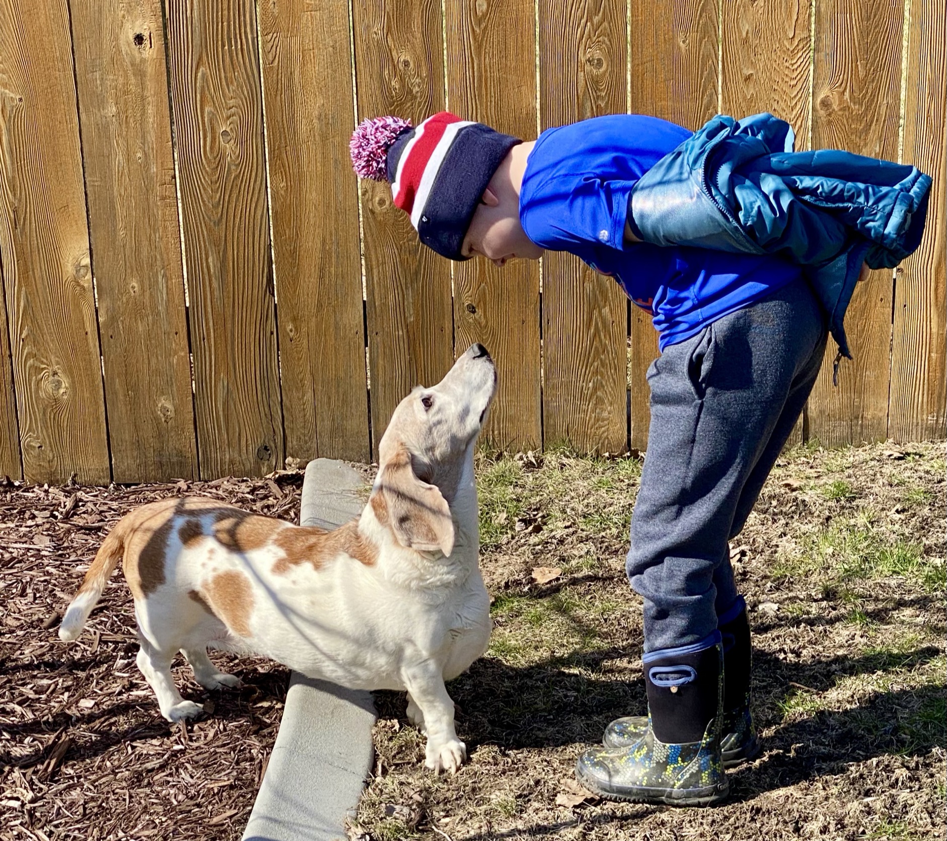 Fargo kid answers call to doo-doo duty with poop-scooping business - Vimarsana News