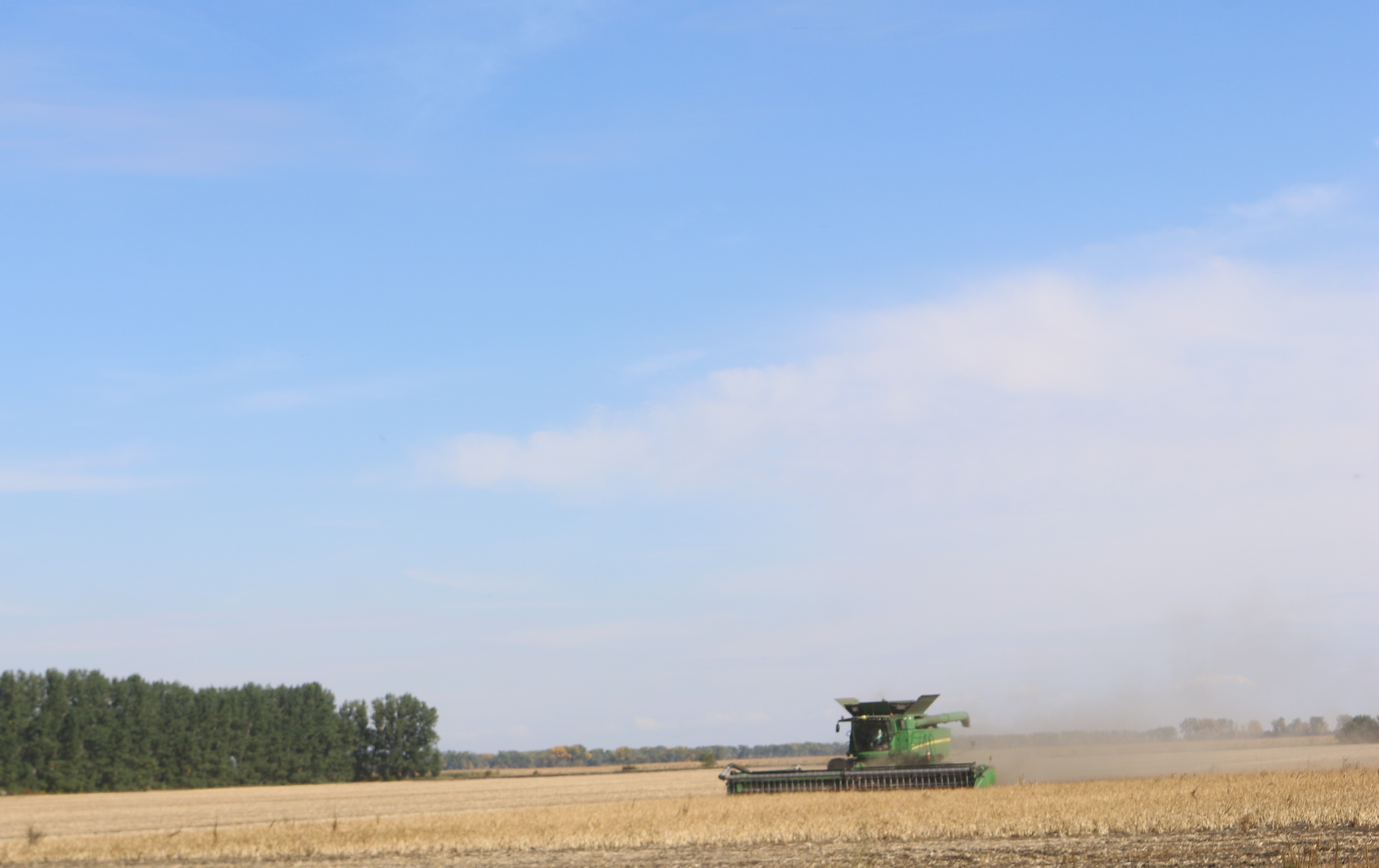Northern Plains edible beans harvest nearly in the books - Vimarsana News
