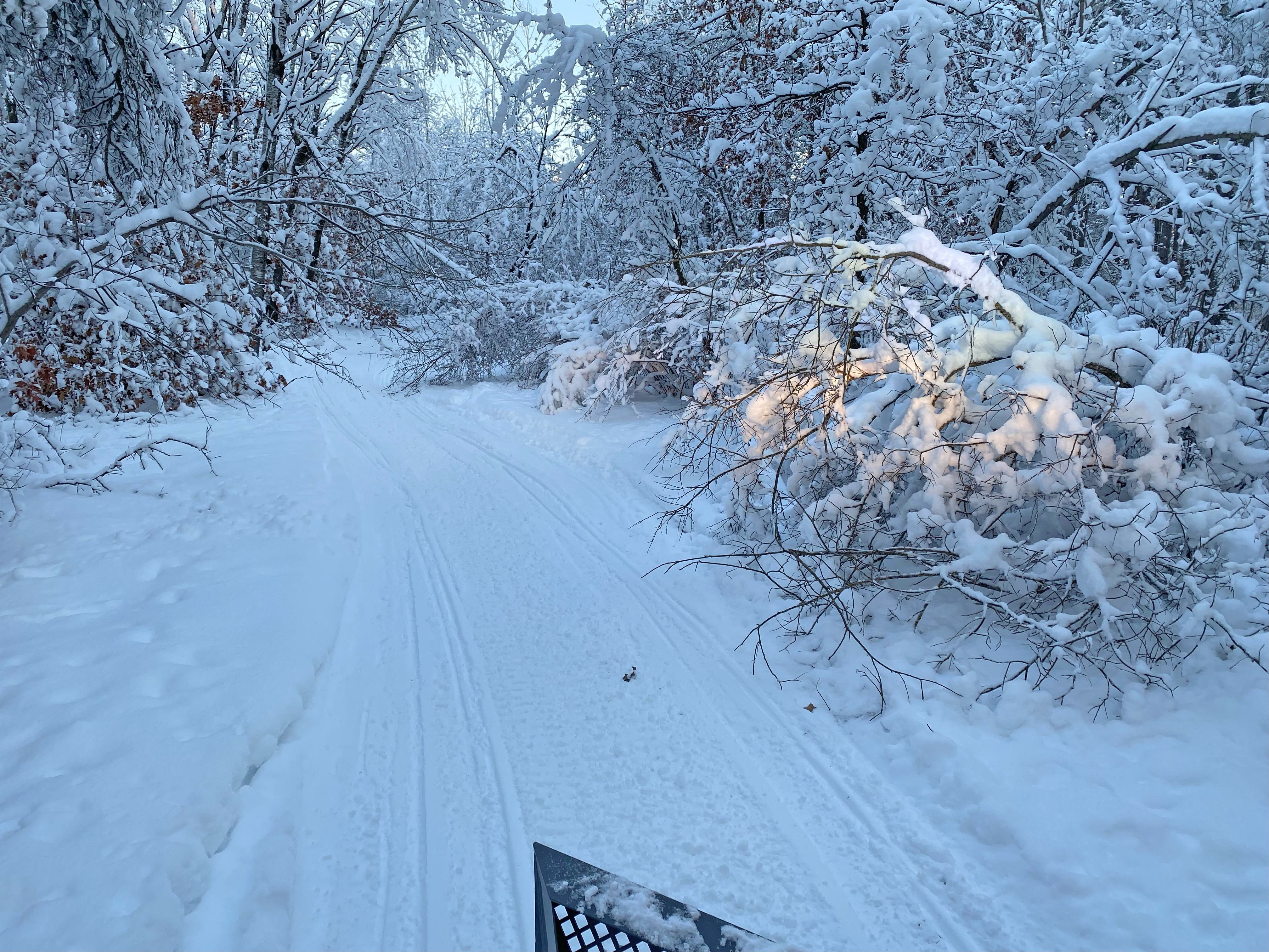 Snowmobile clubs seek help clearing fallen trees from trails - Vimarsana News