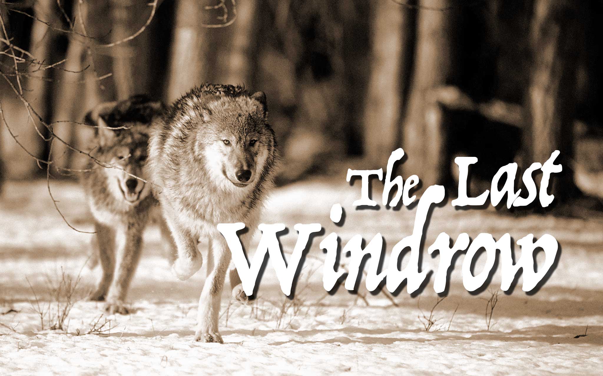 The Last Windrow: The Last Chase - Vimarsana News