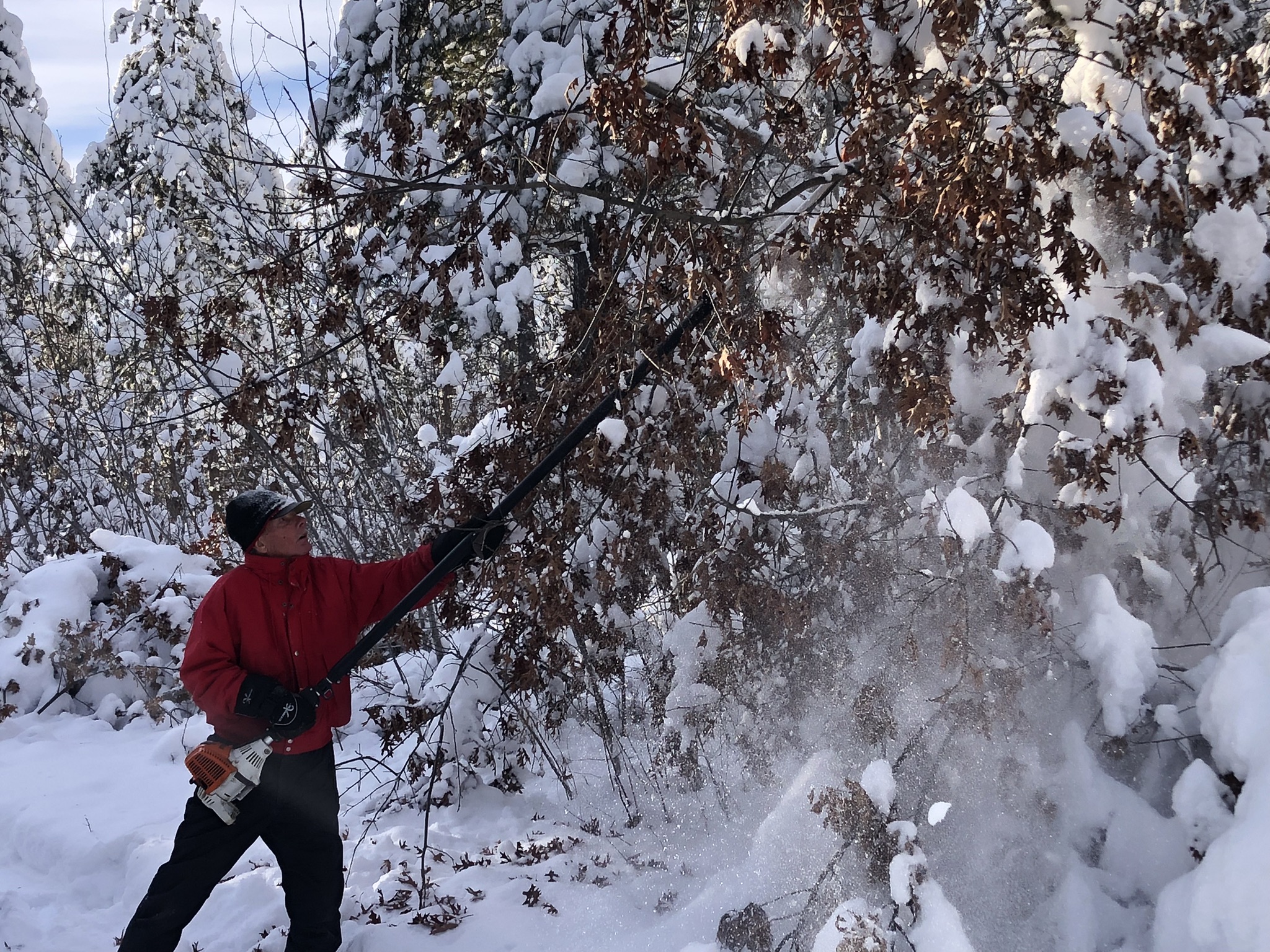 Strong winter storms lead to extensive cleanup on area trails - Vimarsana News