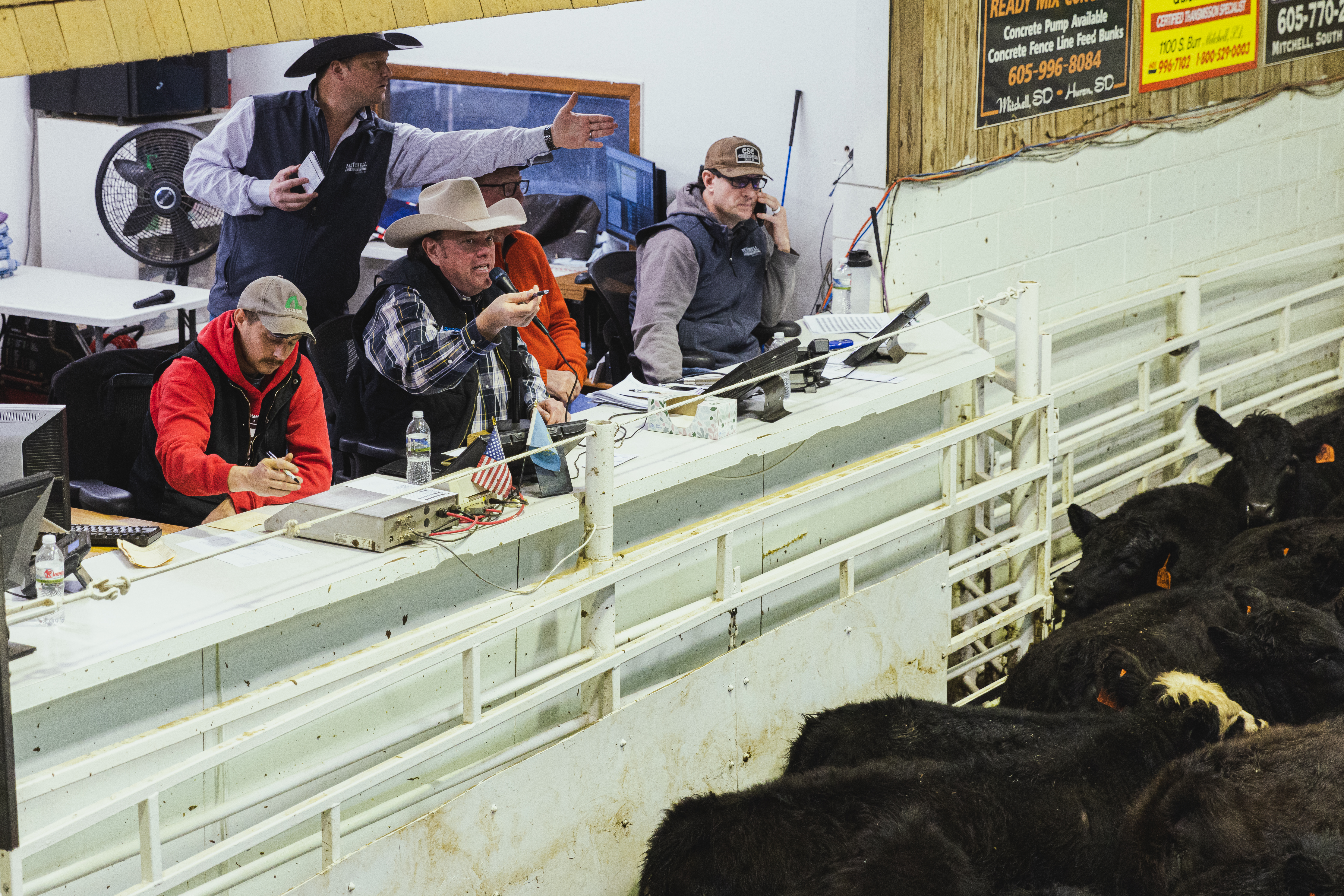 'A ton of opportunity,' says Kansas native who found second home in Mitchell after buying Mitchell Livestock - Vimarsana News