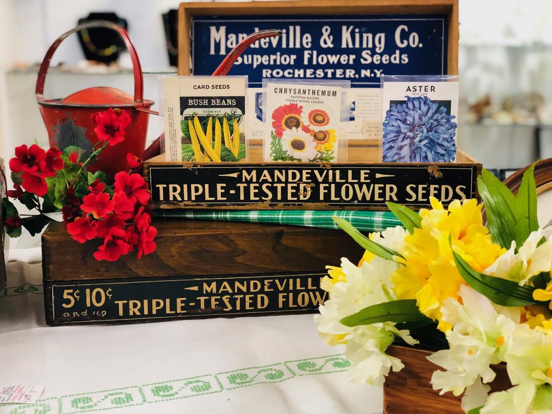 Collecting garden antiques for backyard garden - Vimarsana News