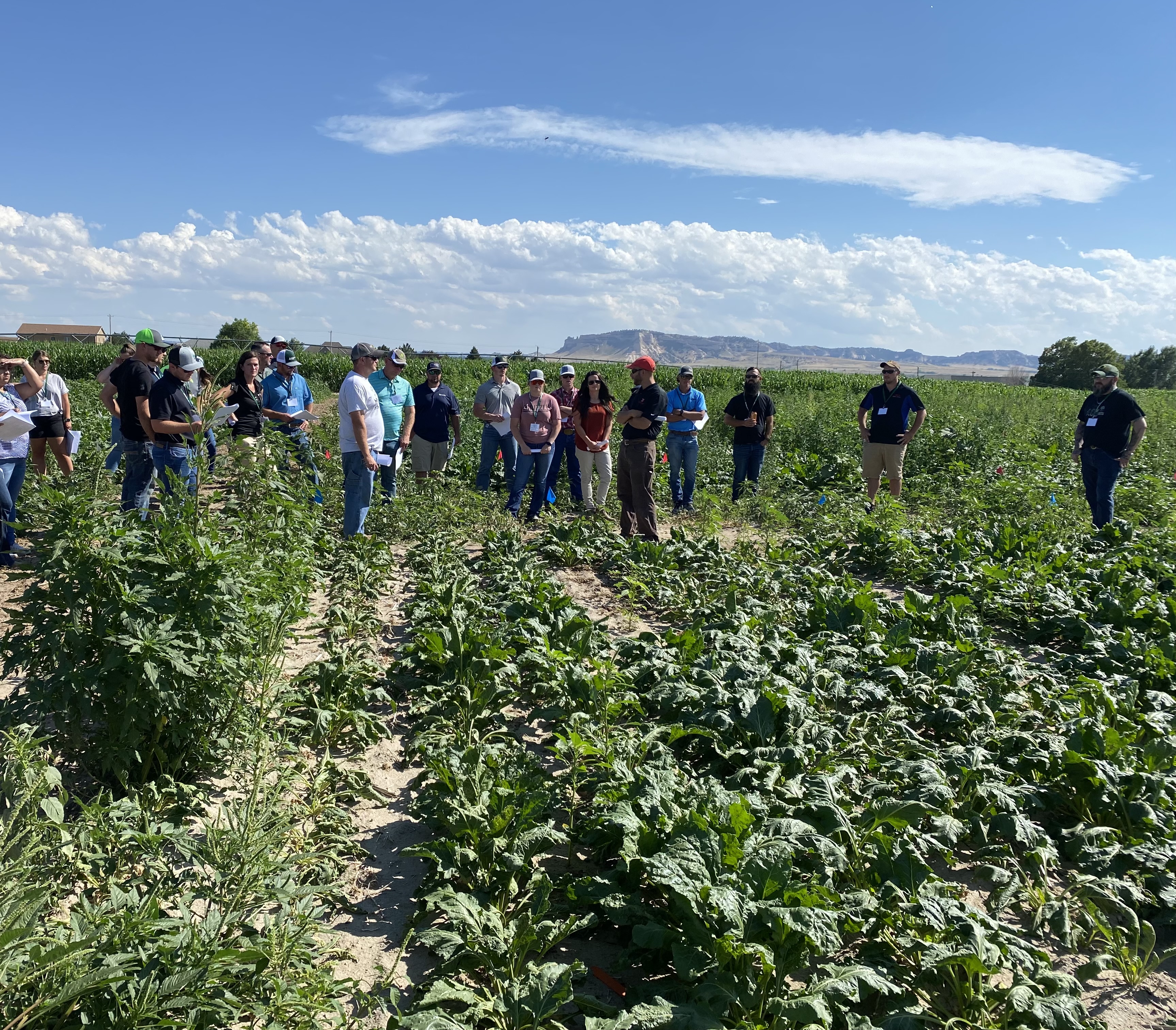 McGinnis Institute of Beet Sugar Technology celebrates 50 years of educating the beet sugar industry - Vimarsana News