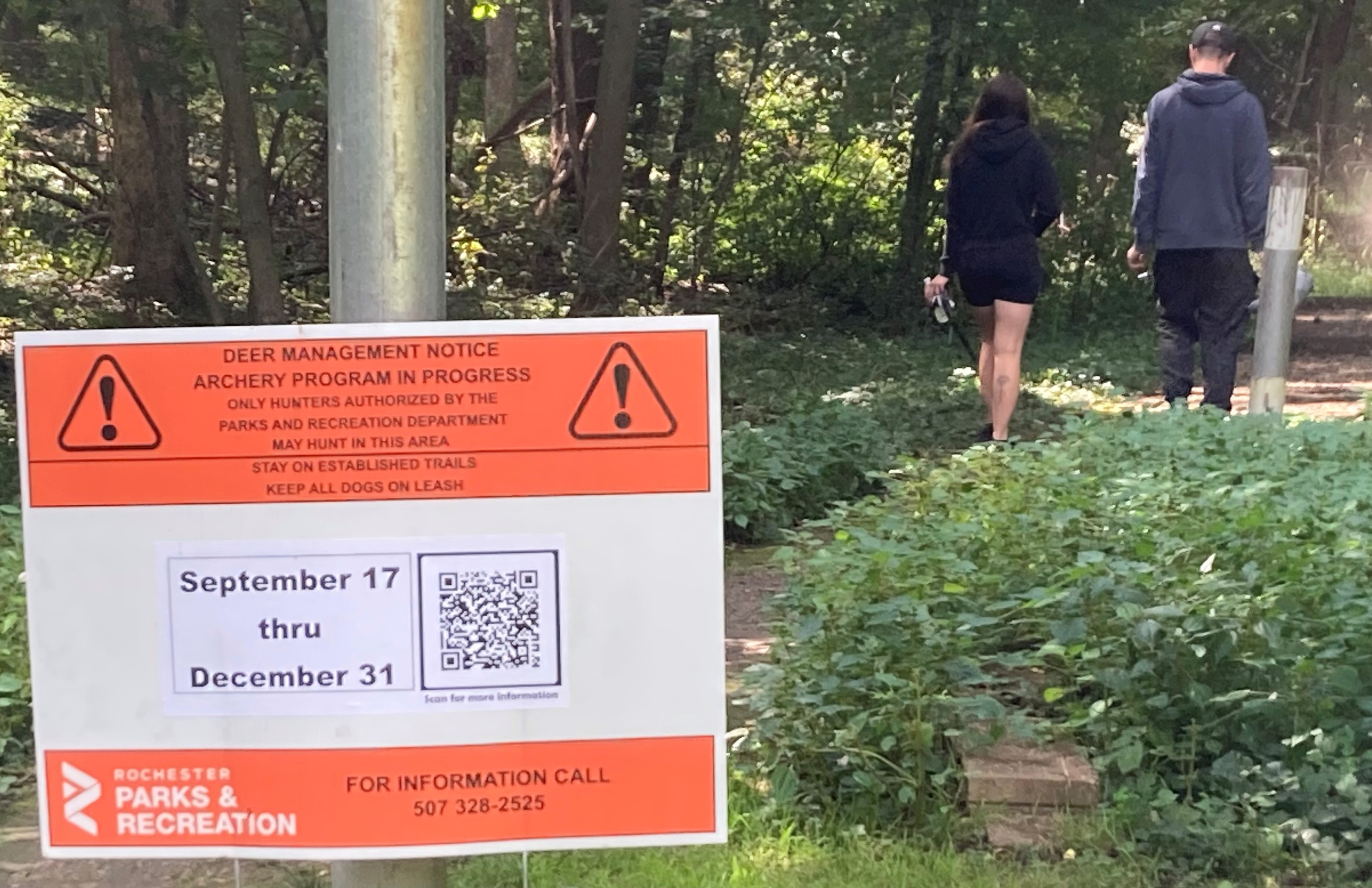 Deer hunt in Rochester parks set to start Sept. 17 - Vimarsana News