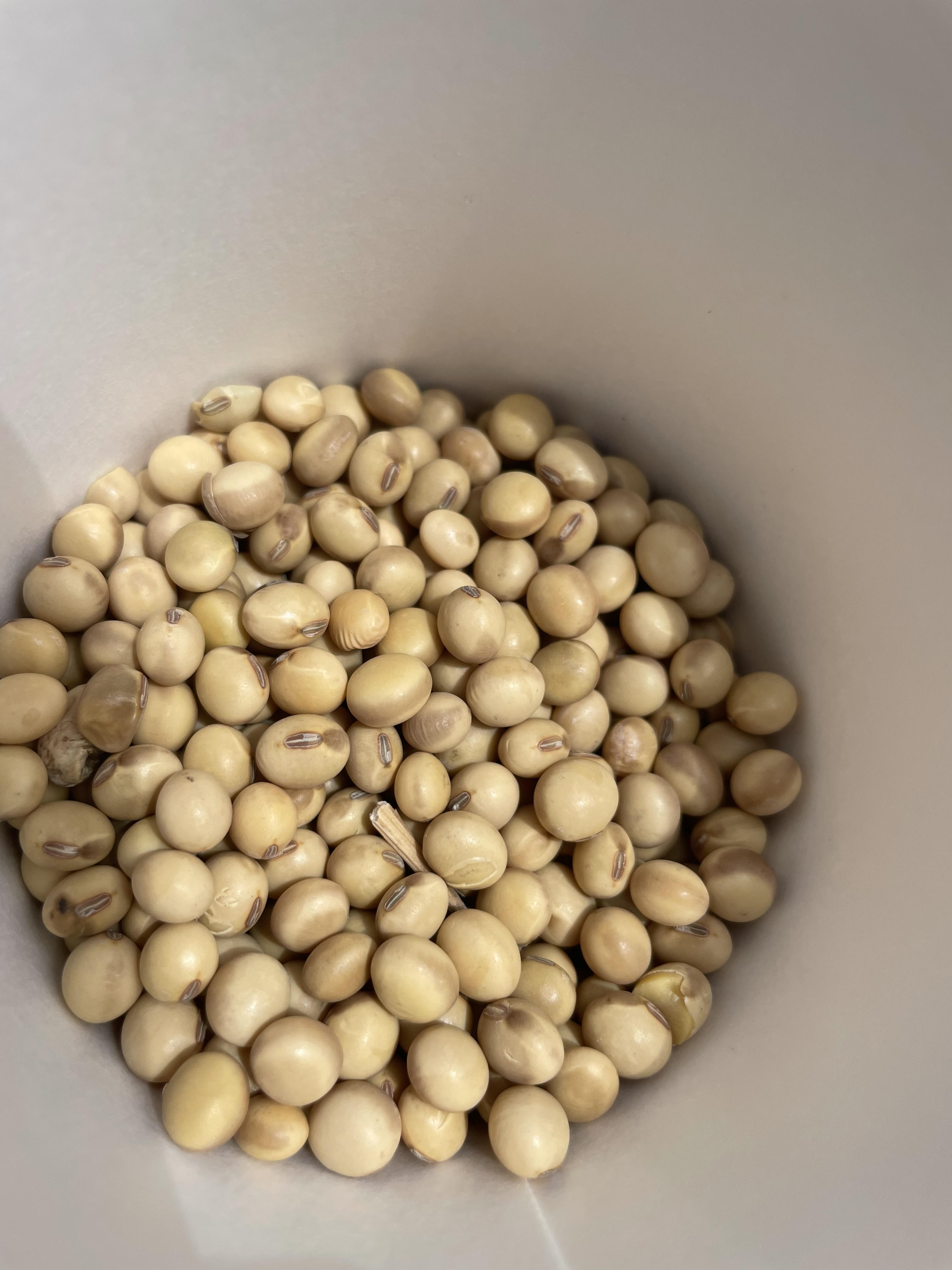 Off-color soybeans becoming an inspection and grading issue - Vimarsana News
