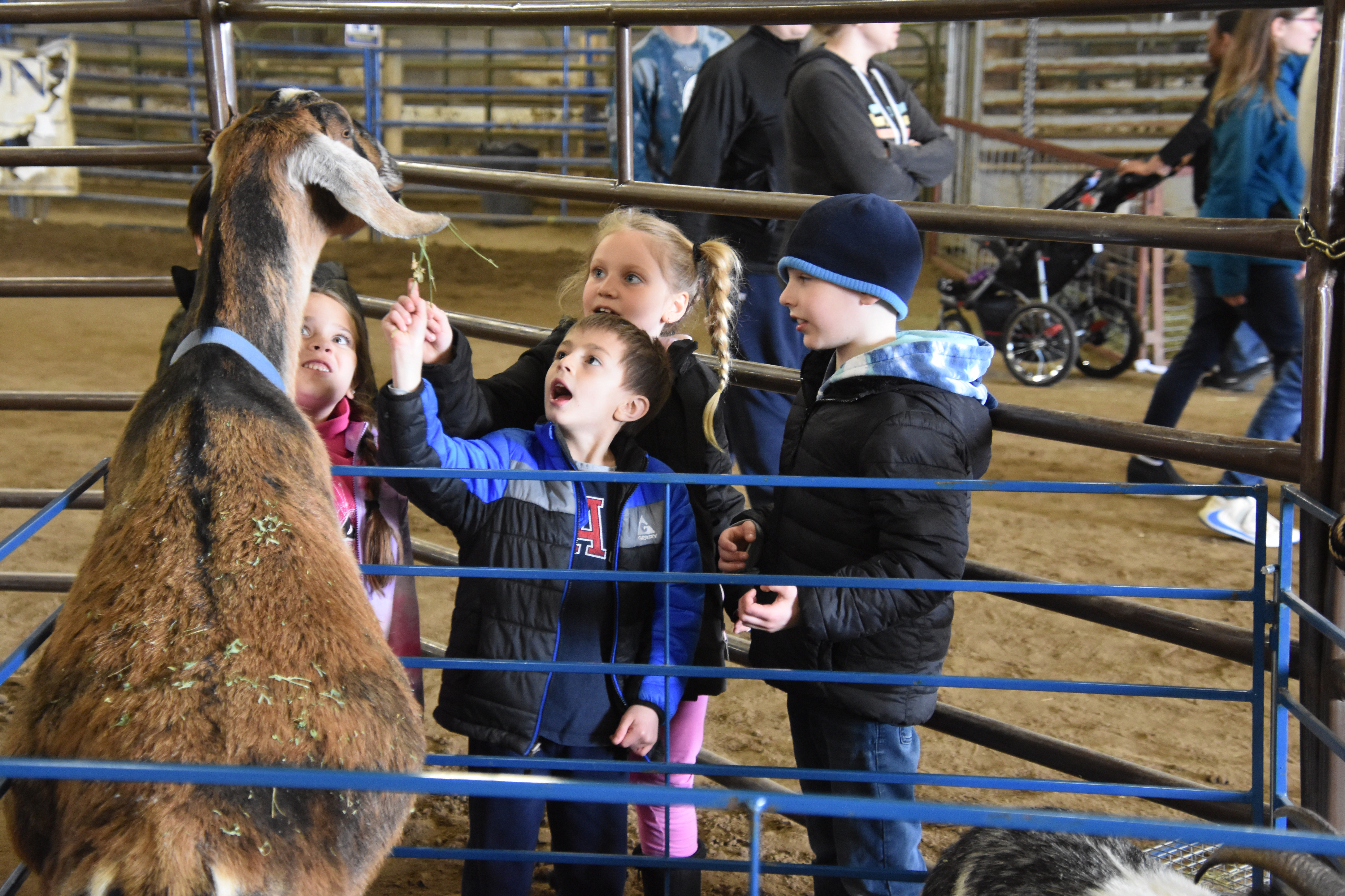 Kids Day on the Farm attracts nearly 1,000 students at DSU - Vimarsana News