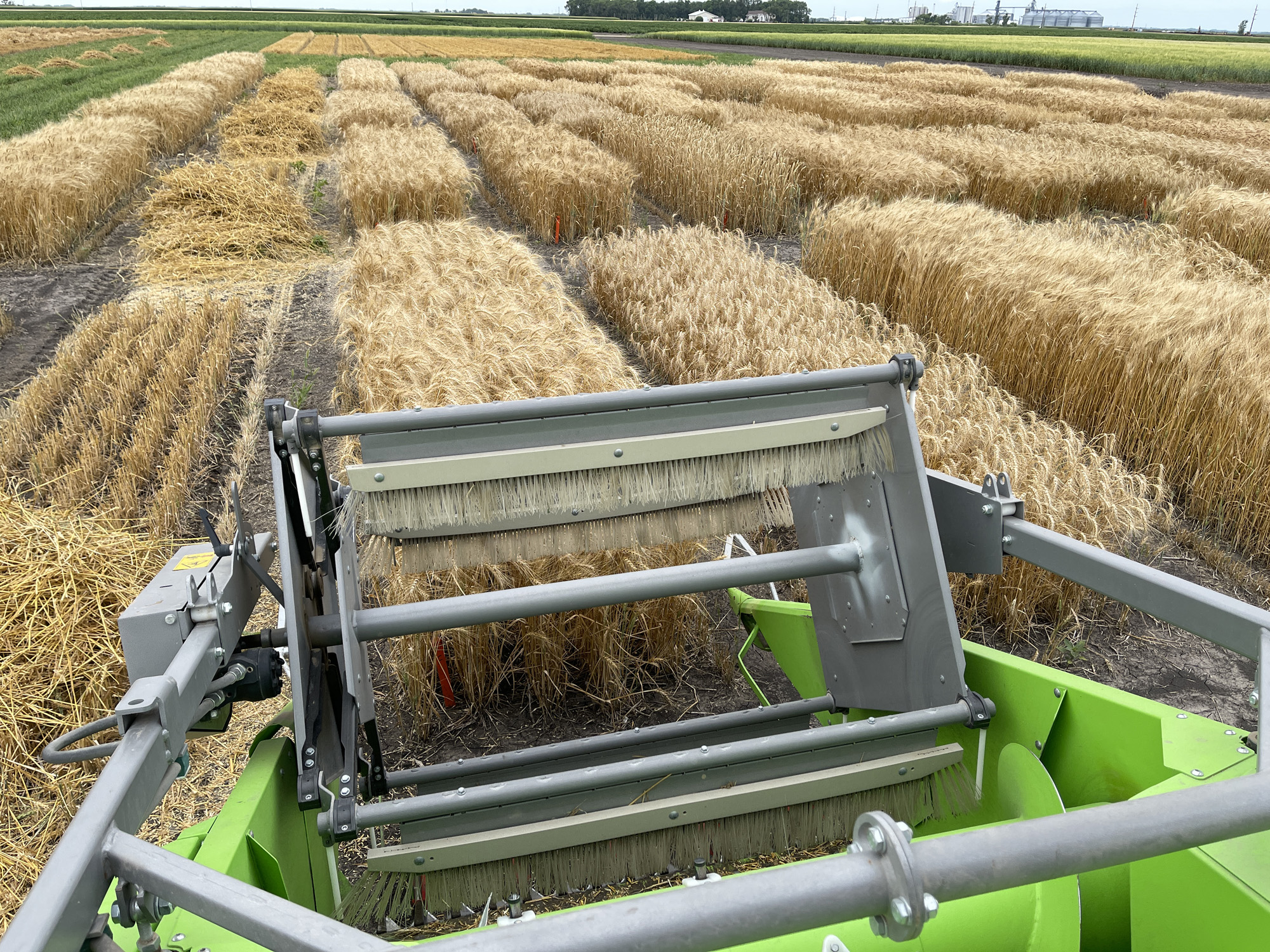 Best of the Best in Wheat Production meeting is Feb. 15 - Vimarsana News