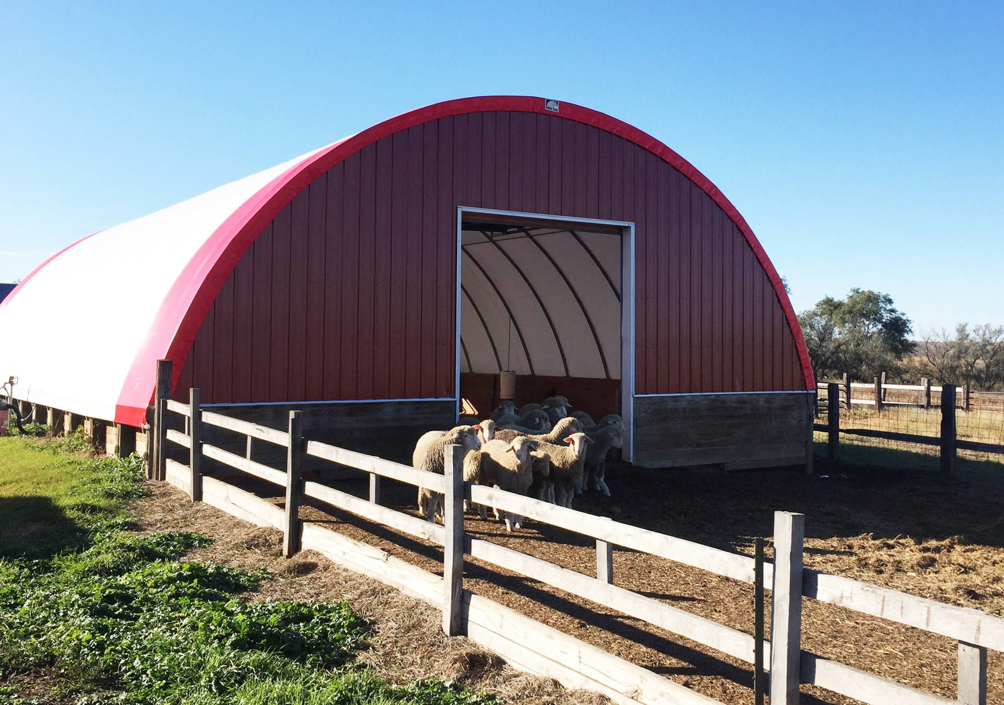 Housing and facilities webinar set for sheep and goat producers - Vimarsana News